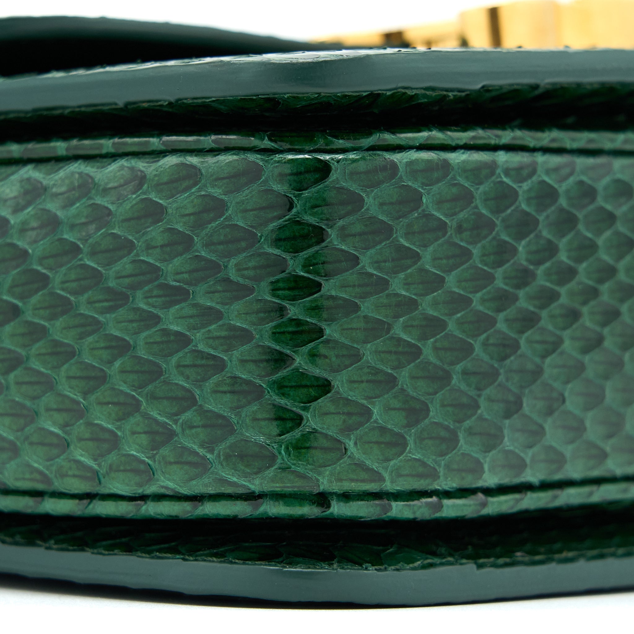 CELINE TRIOMPHE BAG WATER SNAKE LEATHER GREEN GHW