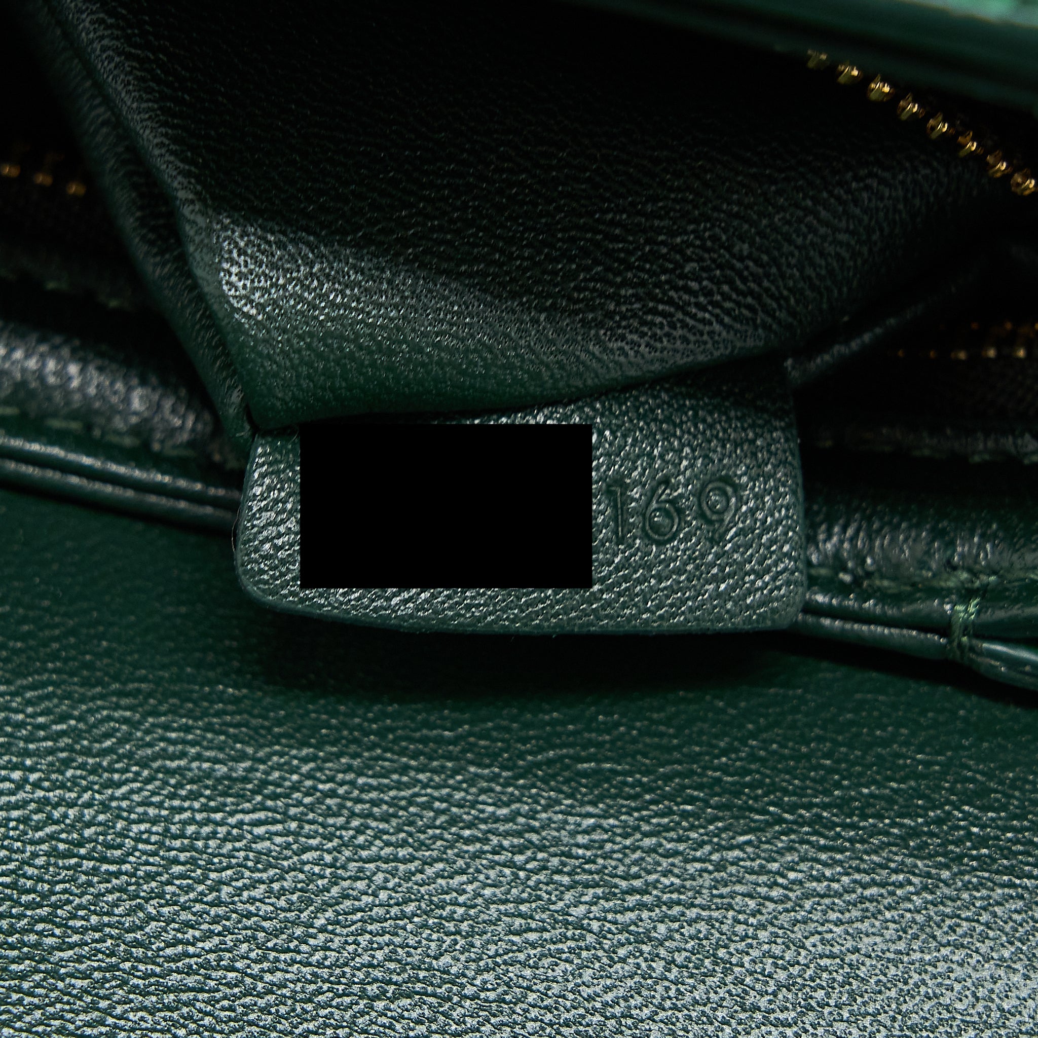 CELINE TRIOMPHE BAG WATER SNAKE LEATHER GREEN GHW