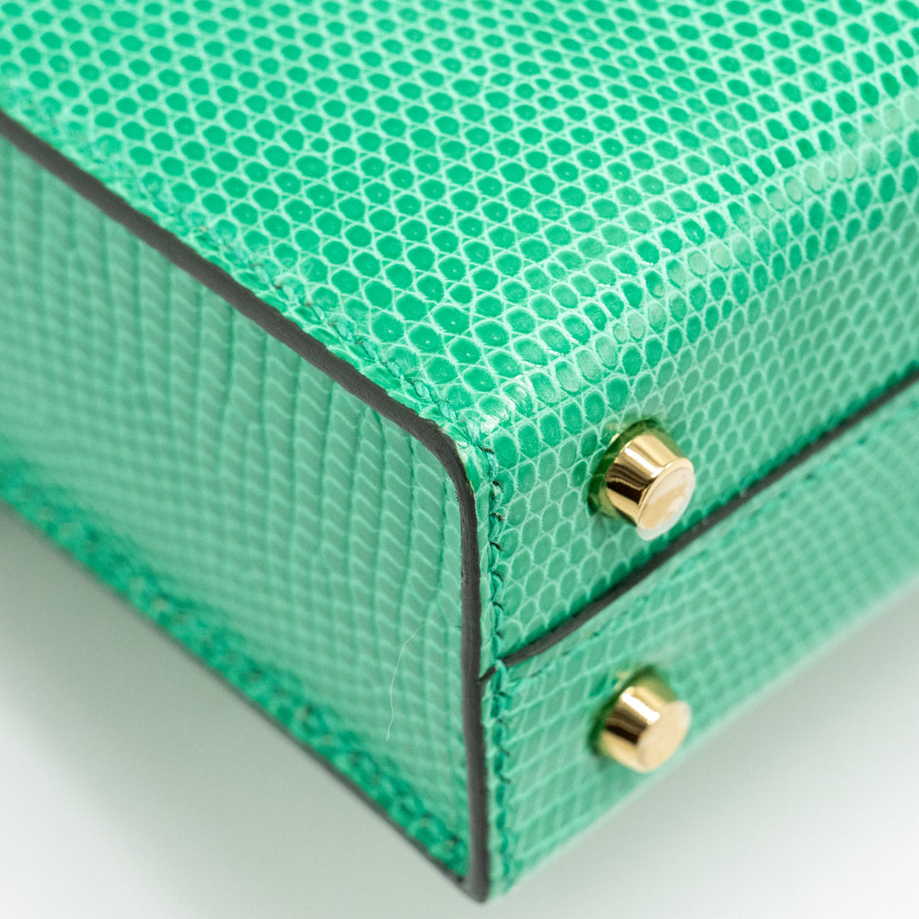 HERMES MINI VERROU LIZARD NILOTICUS LISSE 6W MENTHI GHW