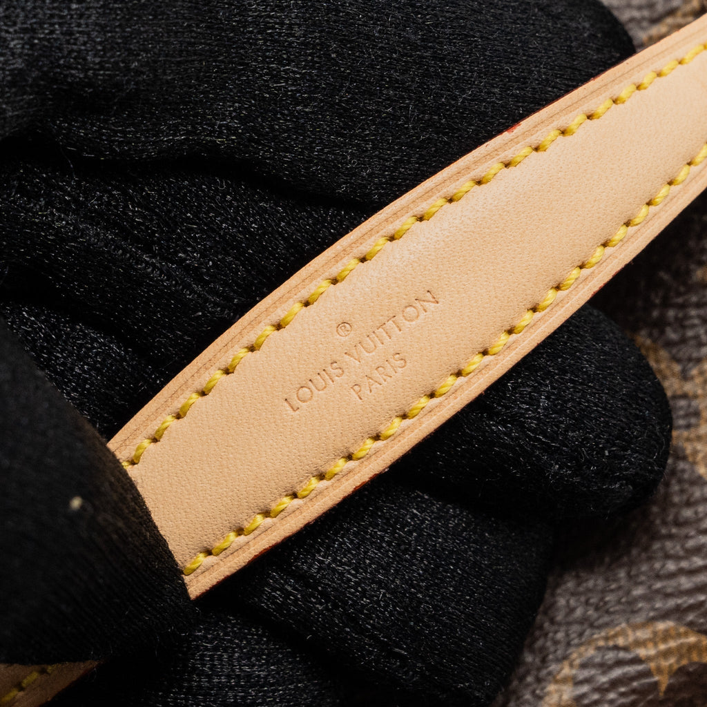 LOUIS VUITTON NICE NANO MONOGRAM CANVAS GHW