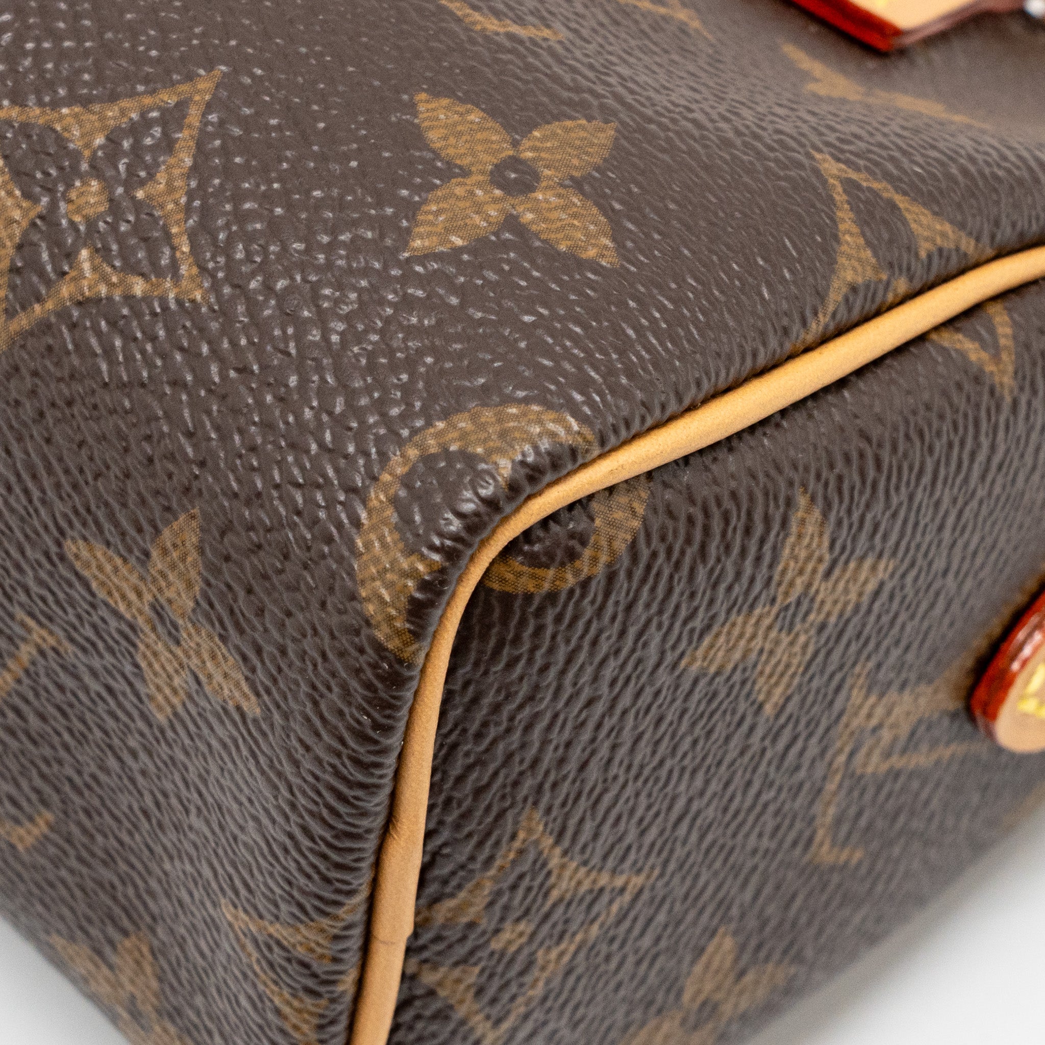 LOUIS VUITTON NANO SPEEDY MONOGRAM CANVAS GHW