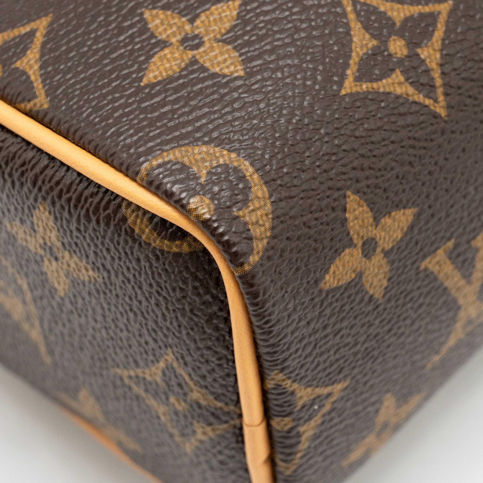 LOUIS VUITTON NANO SPEEDY VIVIENNE LIMITED EDITION MONOGRAM CANVAS GHW