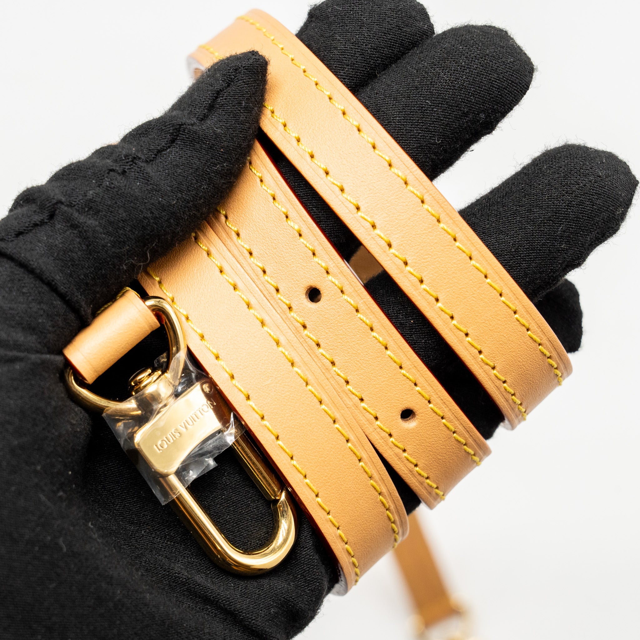 LOUIS VUITTON NANO SPEEDY MONOGRAM CANVAS GHW