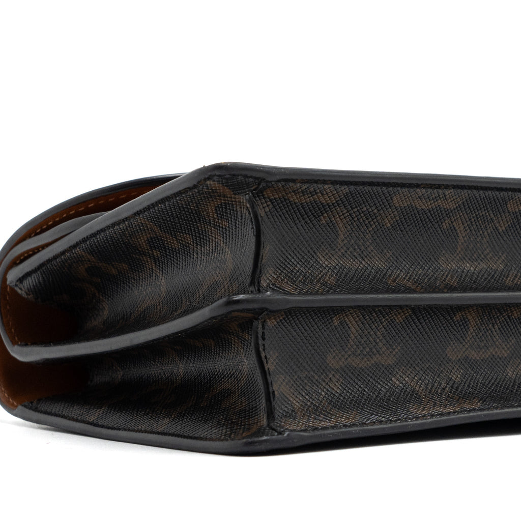 CELINE WALLET ON STRAP TRIOMPHE CANVAS/SMOOTH LAMBSKIN TAN GHW