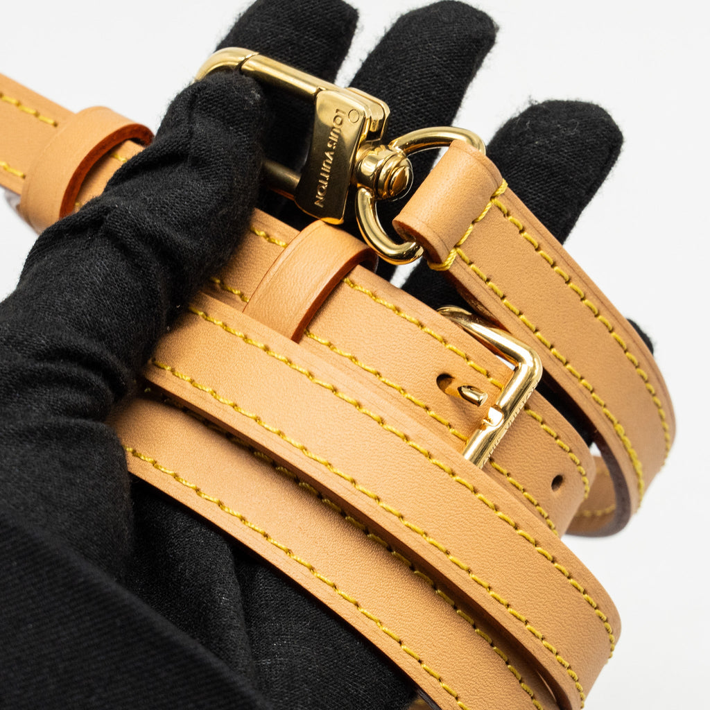 LOUIS VUITTON NANO SPEEDY MONOGRAM CANVAS GHW