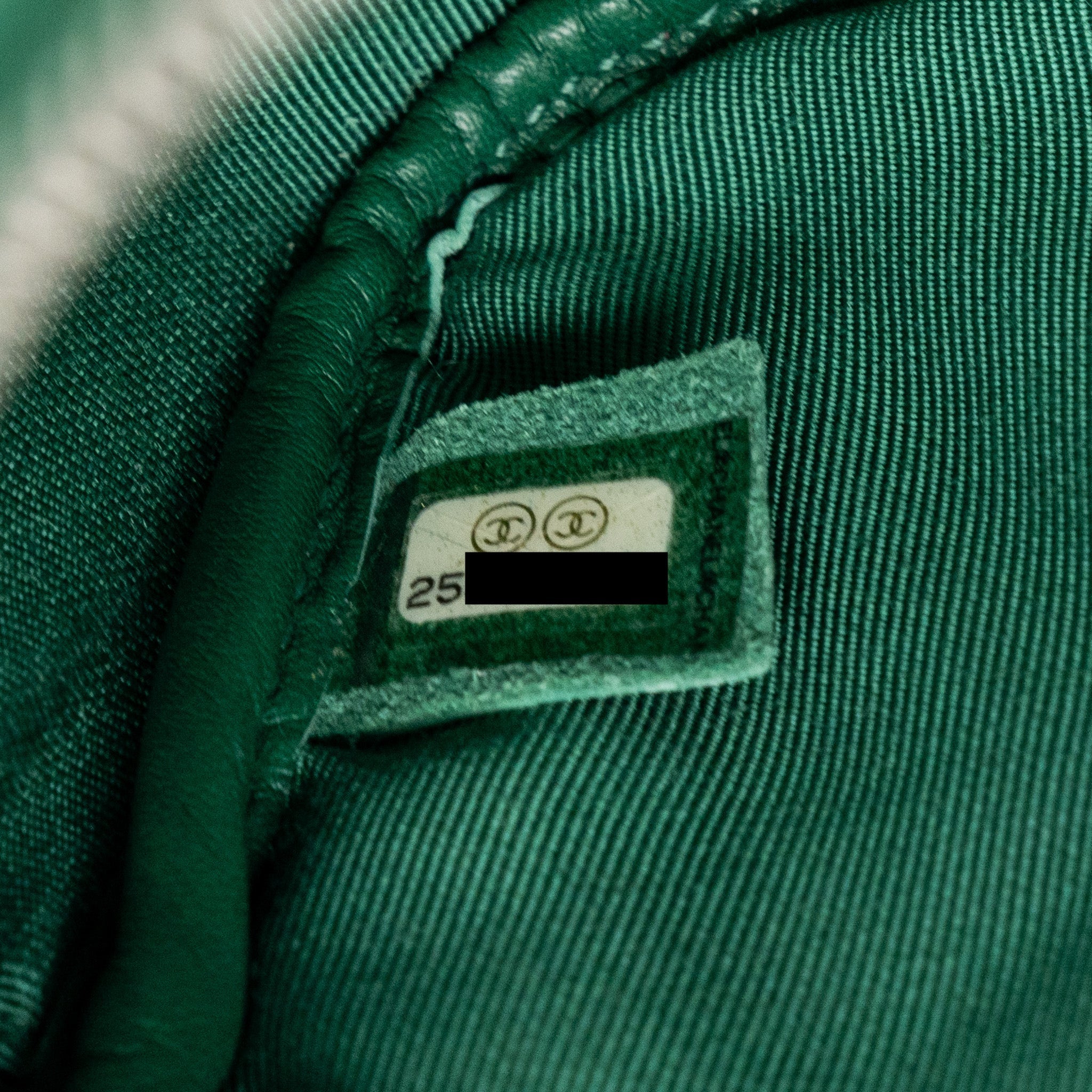 CHANEL SMALL CAMERA BAG CALFSKIN GREEN SHW