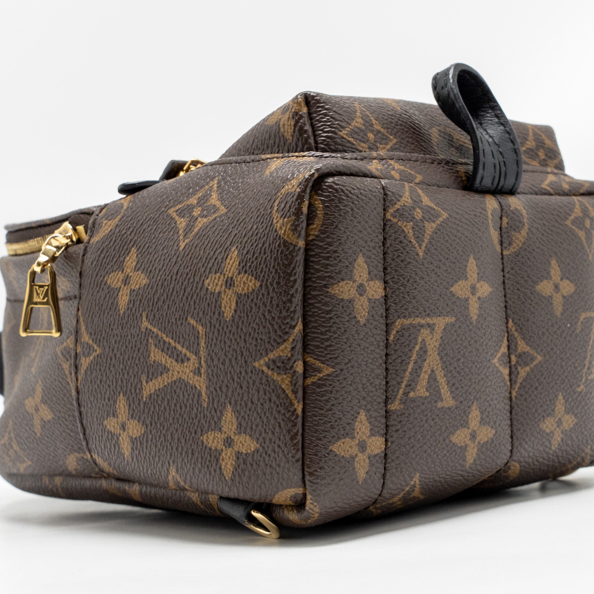 LOUIS VUITTON MINI PALM SPRINGS MONOGRAM CANVAS GHW