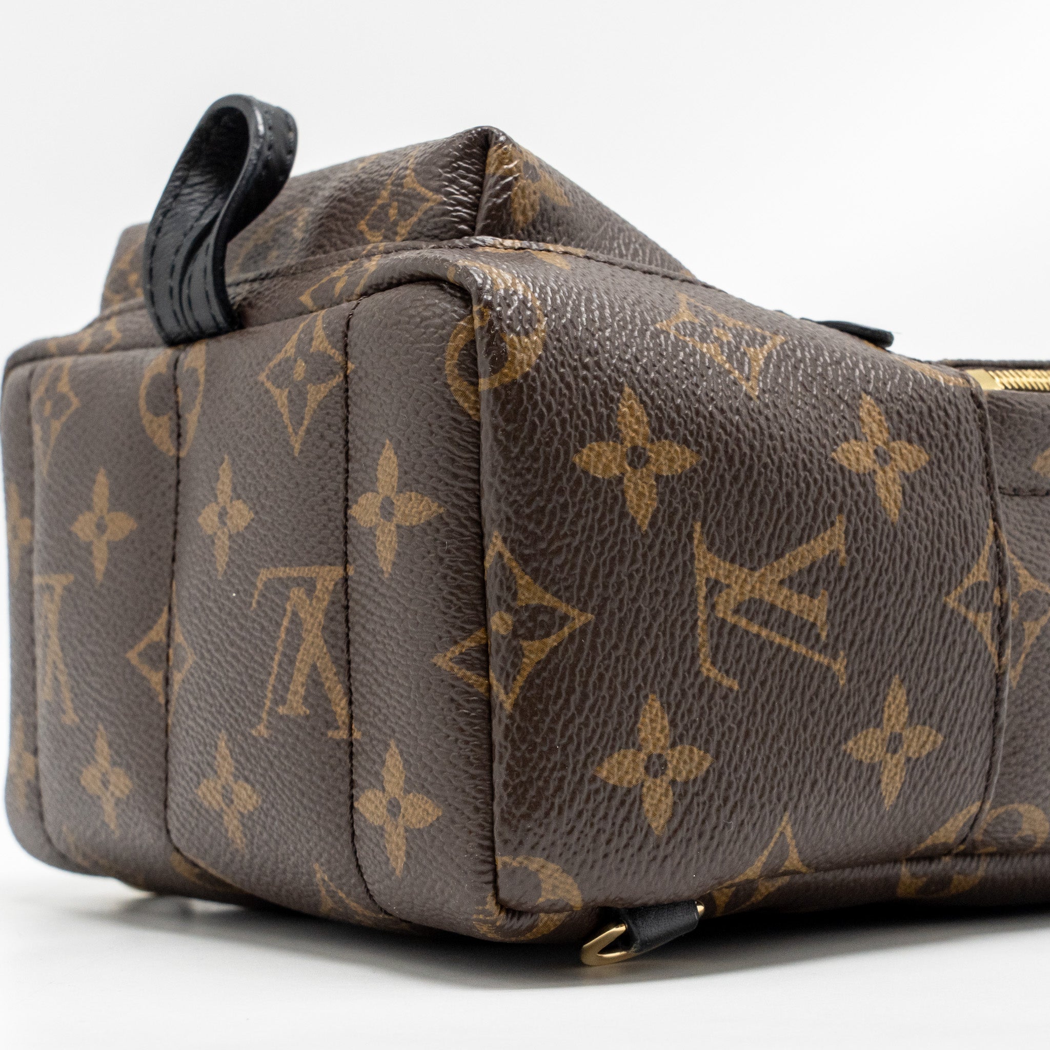 LOUIS VUITTON MINI PALM SPRINGS MONOGRAM CANVAS GHW