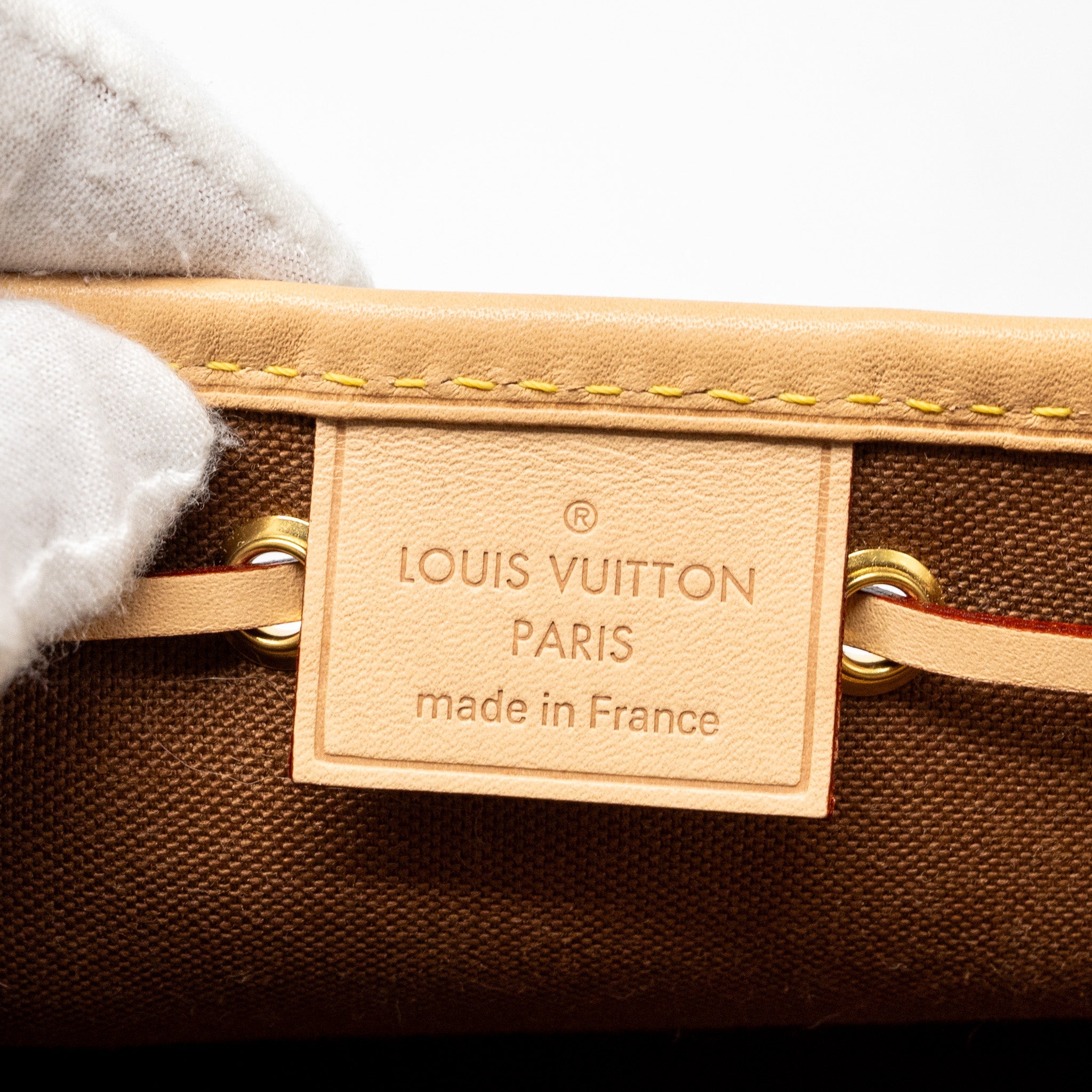 LOUIS VUITTON NANO NOE MONOGRAM CANVAS GHW