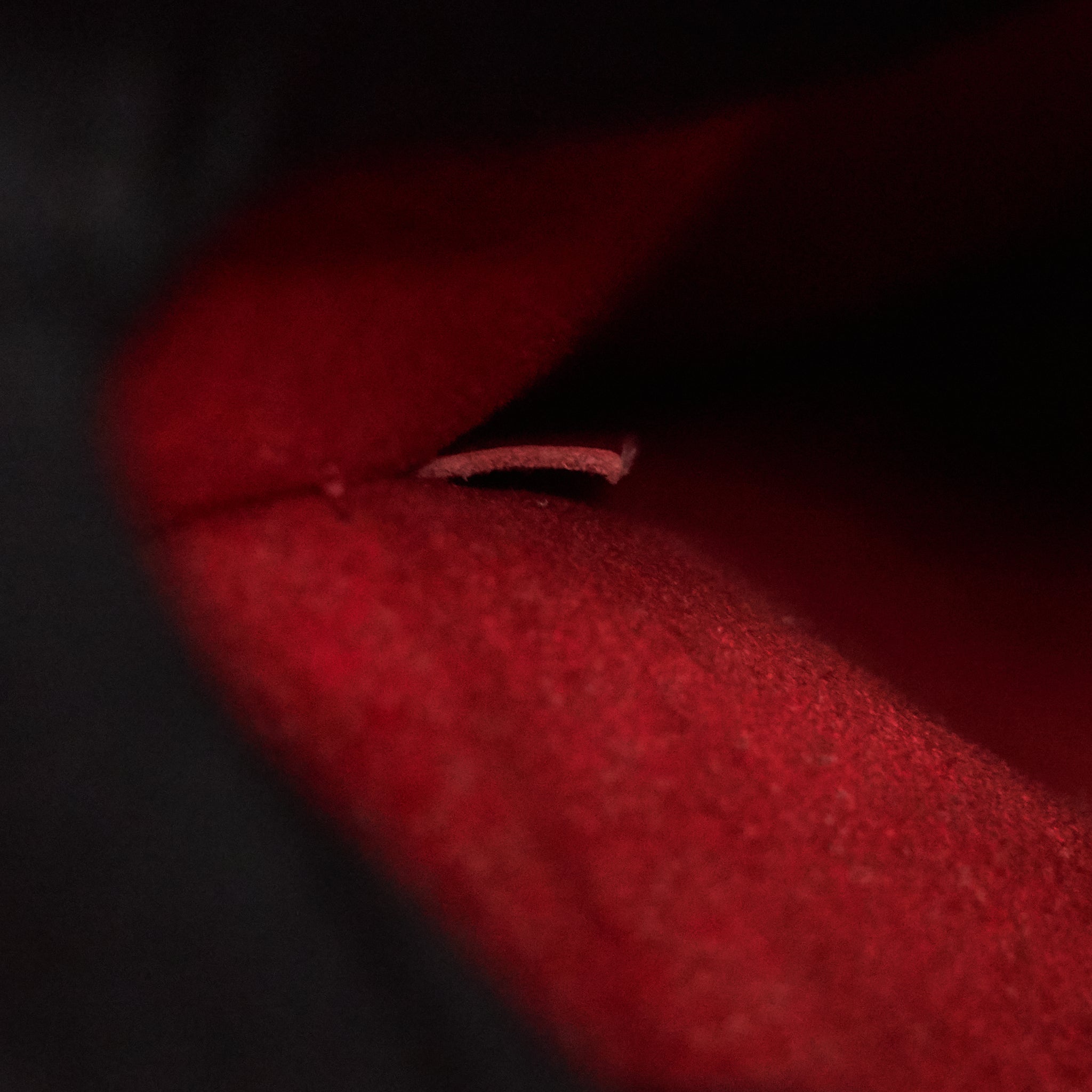 LOUIS VUITTON NEO NOE MONOGRAM CANVAS RED