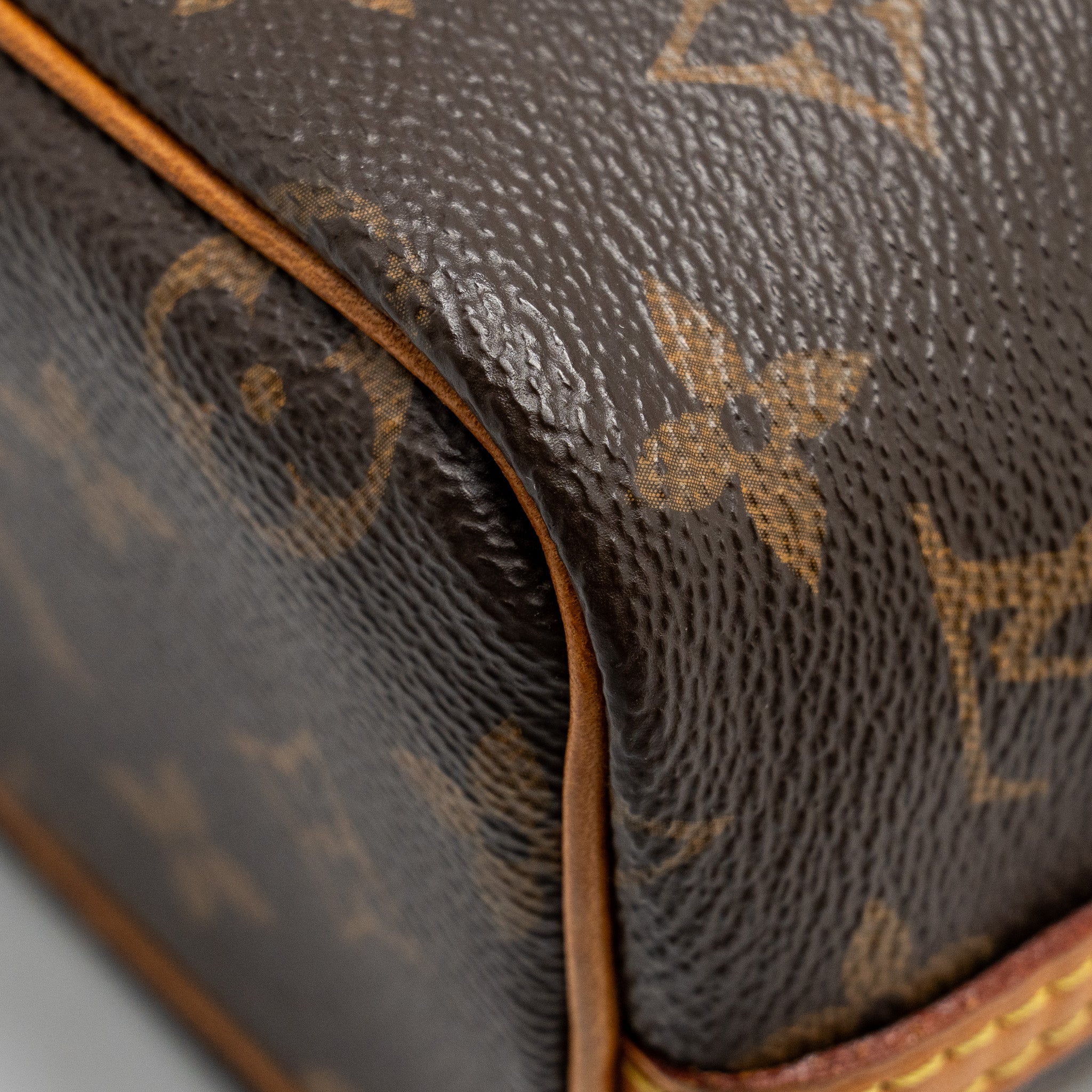 LOUIS VUITTON NANO NOE MONOGRAM CANVAS GHW