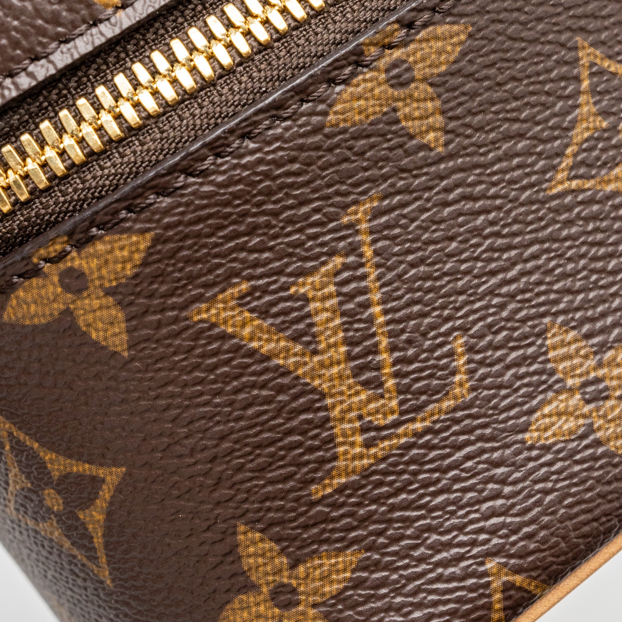 LOUIS VUITTON NICE NANO VANITY MONOGRAM CANVAS GHW