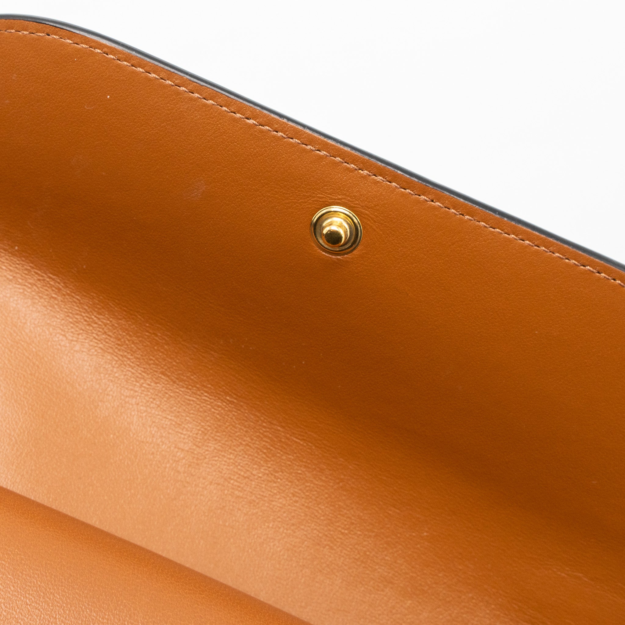 CELINE WALLET ON STRAP TRIOMPHE CANVAS/SMOOTH LAMBSKIN TAN GHW