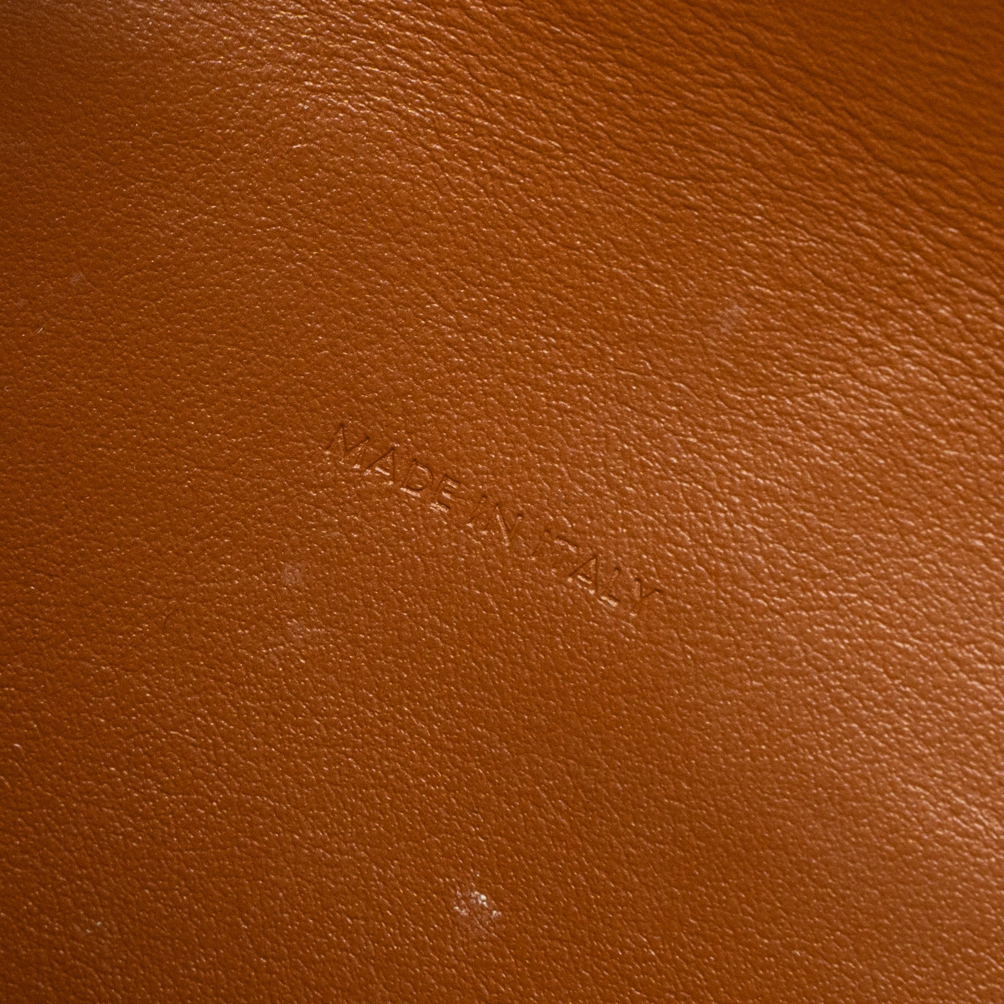 CELINE WALLET ON STRAP TRIOMPHE CANVAS/SMOOTH LAMBSKIN TAN GHW