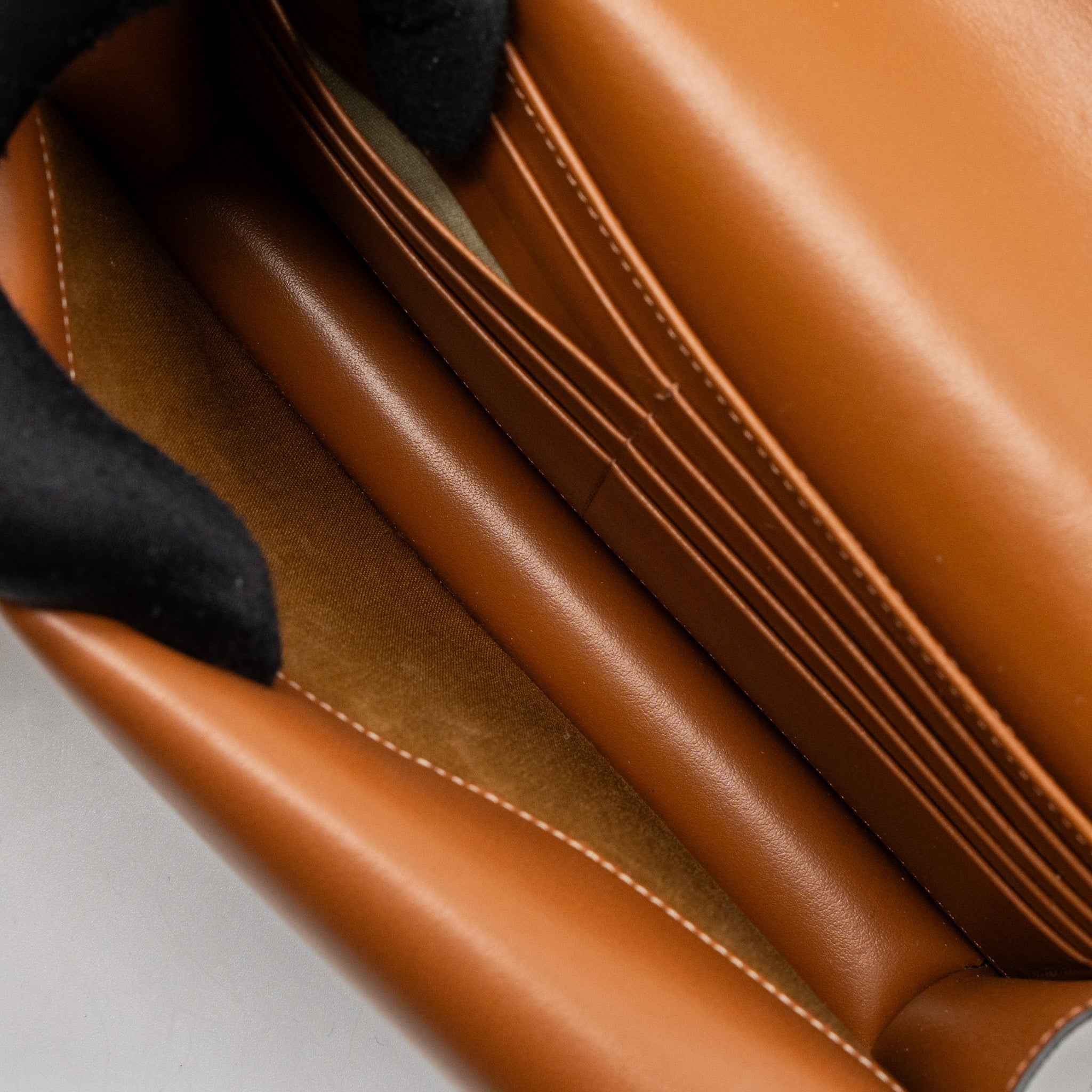 CELINE WALLET ON STRAP TRIOMPHE CANVAS/SMOOTH LAMBSKIN TAN GHW
