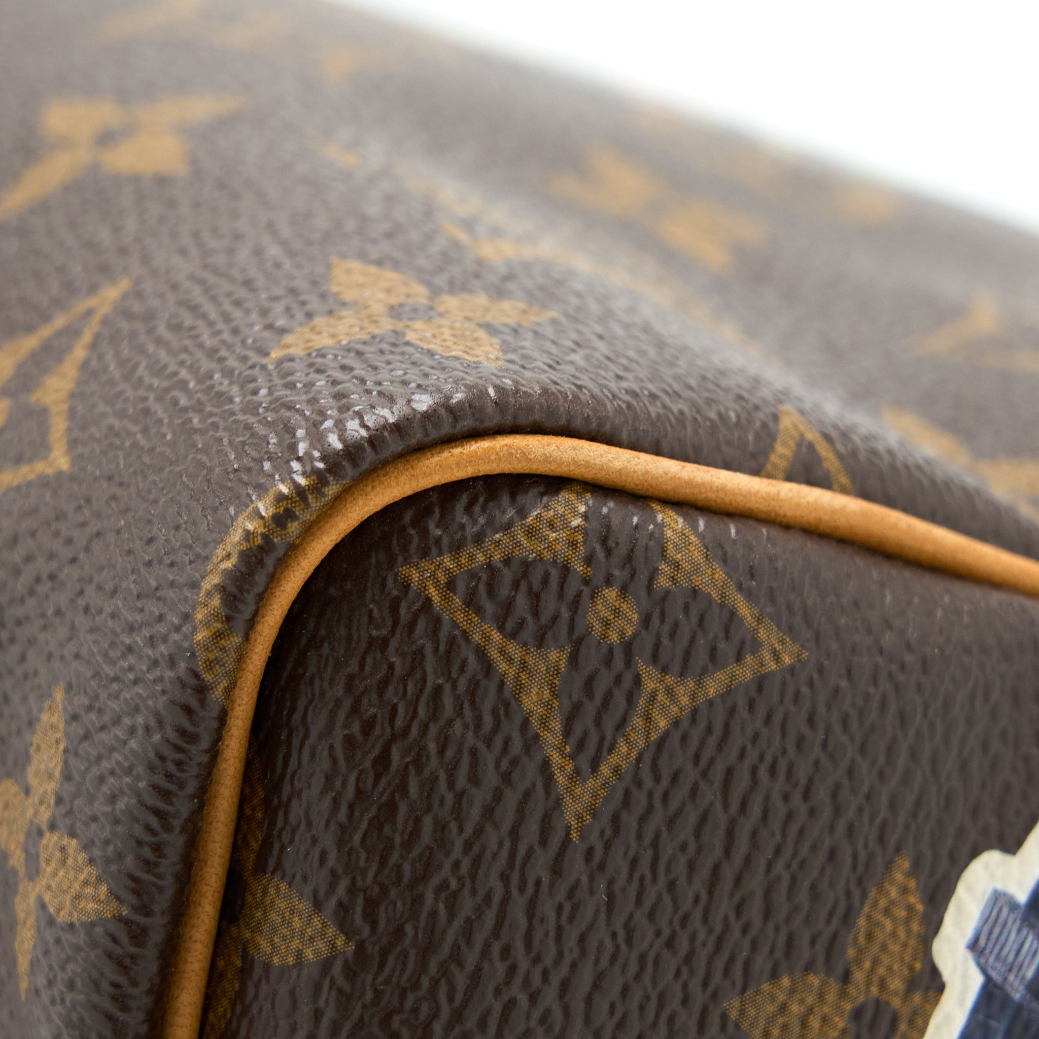 LOUIS VUITTON SPEEDY 30 LIMITED EDITION MONOGRAM CANVAS GHW