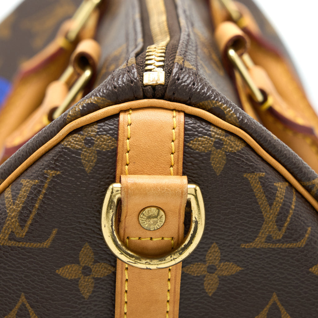 LOUIS VUITTON SPEEDY 30 LIMITED EDITION MONOGRAM CANVAS GHW