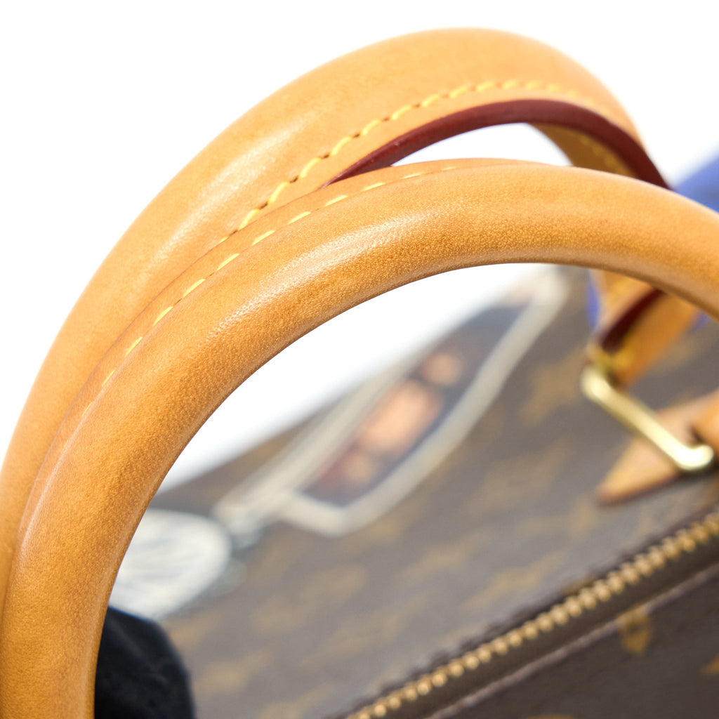 LOUIS VUITTON SPEEDY 30 LIMITED EDITION MONOGRAM CANVAS GHW