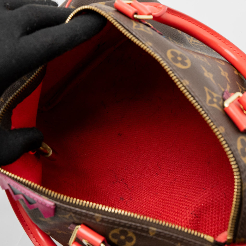 LOUIS VUITTON SPEEDY 30 LIMITED EDITION MONOGRAM CANVAS GHW