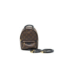 LOUIS VUITTIN PALM SPRING BACKPACK MINI MONOGRAM CANVAS