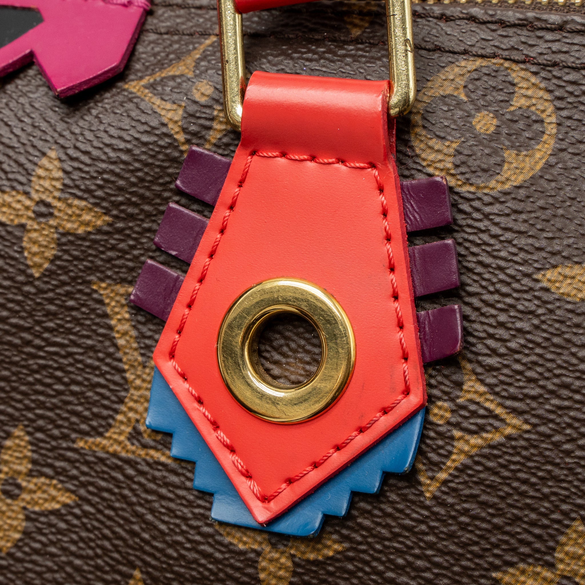 LOUIS VUITTON SPEEDY 30 LIMITED EDITION MONOGRAM CANVAS GHW