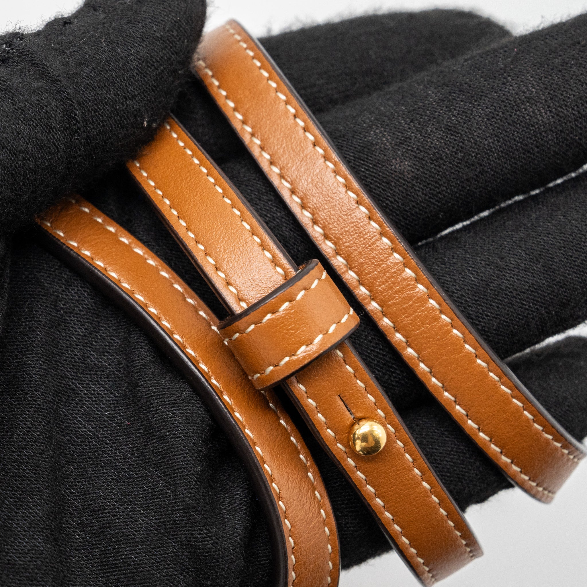 CELINE WALLET ON STRAP TRIOMPHE CANVAS / SMOOTH LAMBSKIN TAN WITH GHW