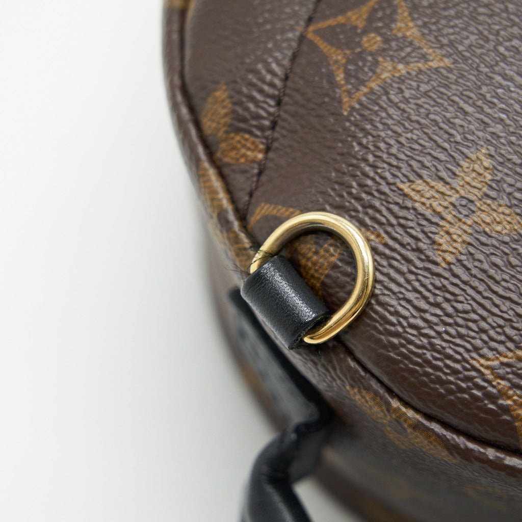 LOUIS VUITTON PALM SPRINGS MINI MONOGRAM CANVAS