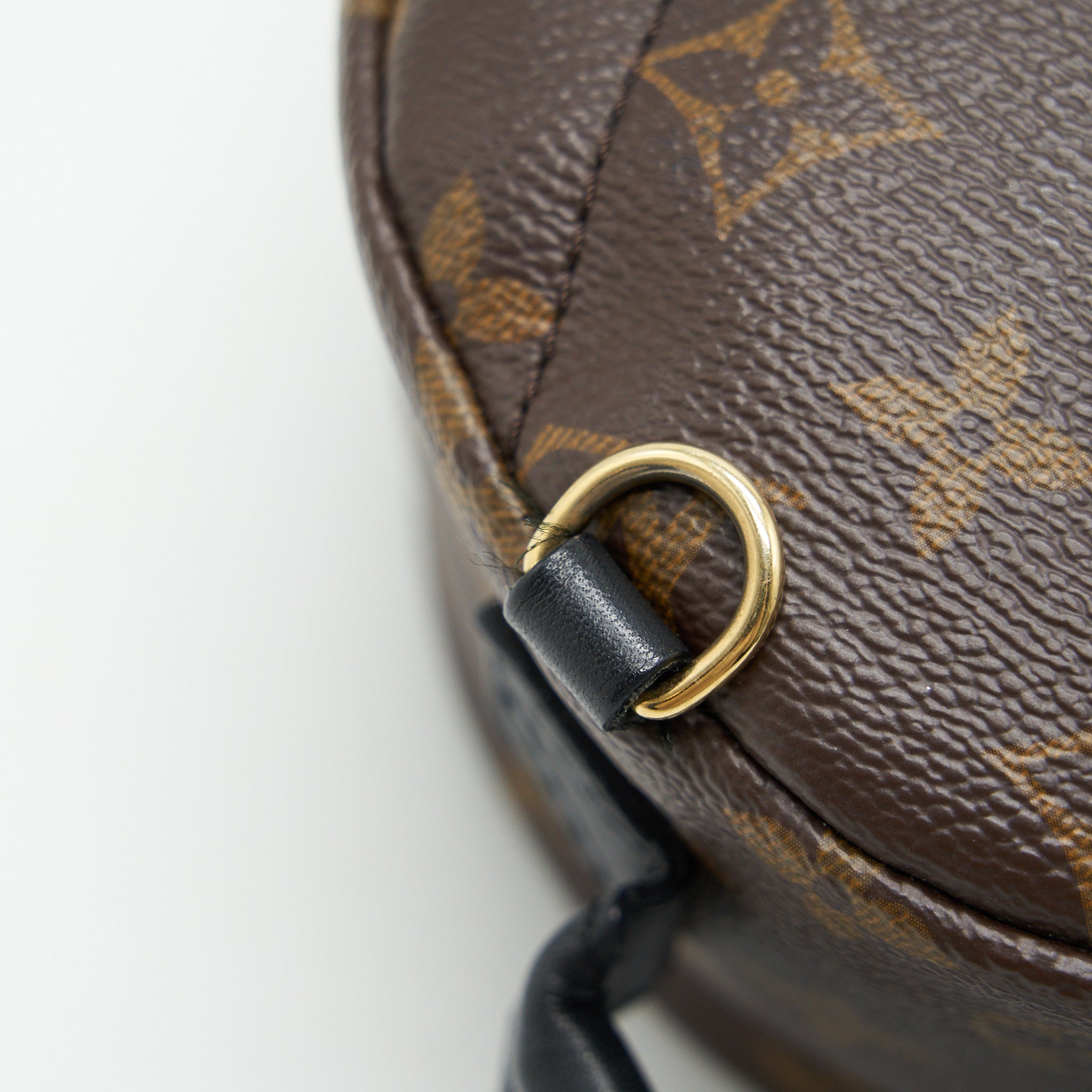 LOUIS VUITTON PALM SPRINGS MINI MONOGRAM CANVAS