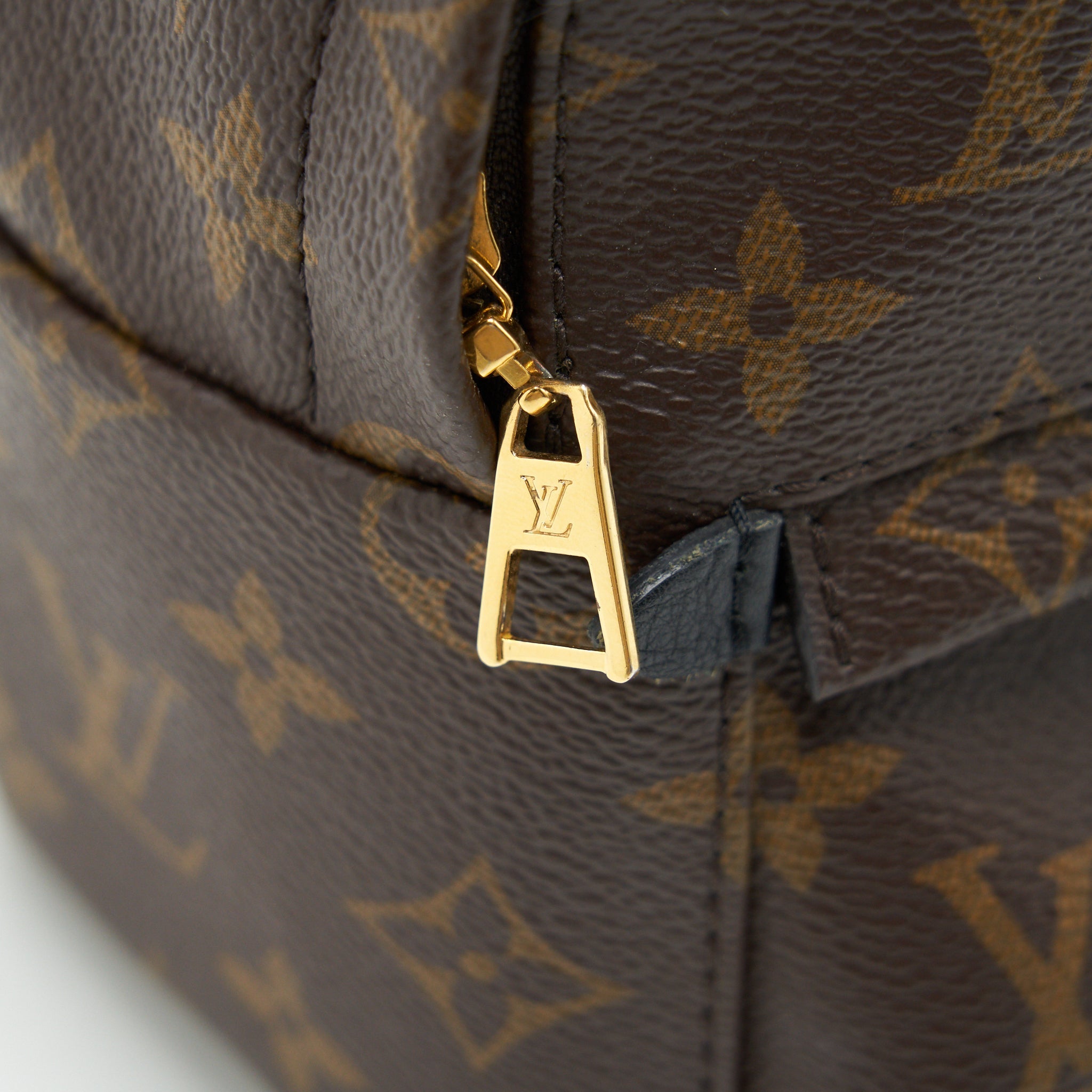 LOUIS VUITTON PALM SPRINGS MINI MONOGRAM CANVAS