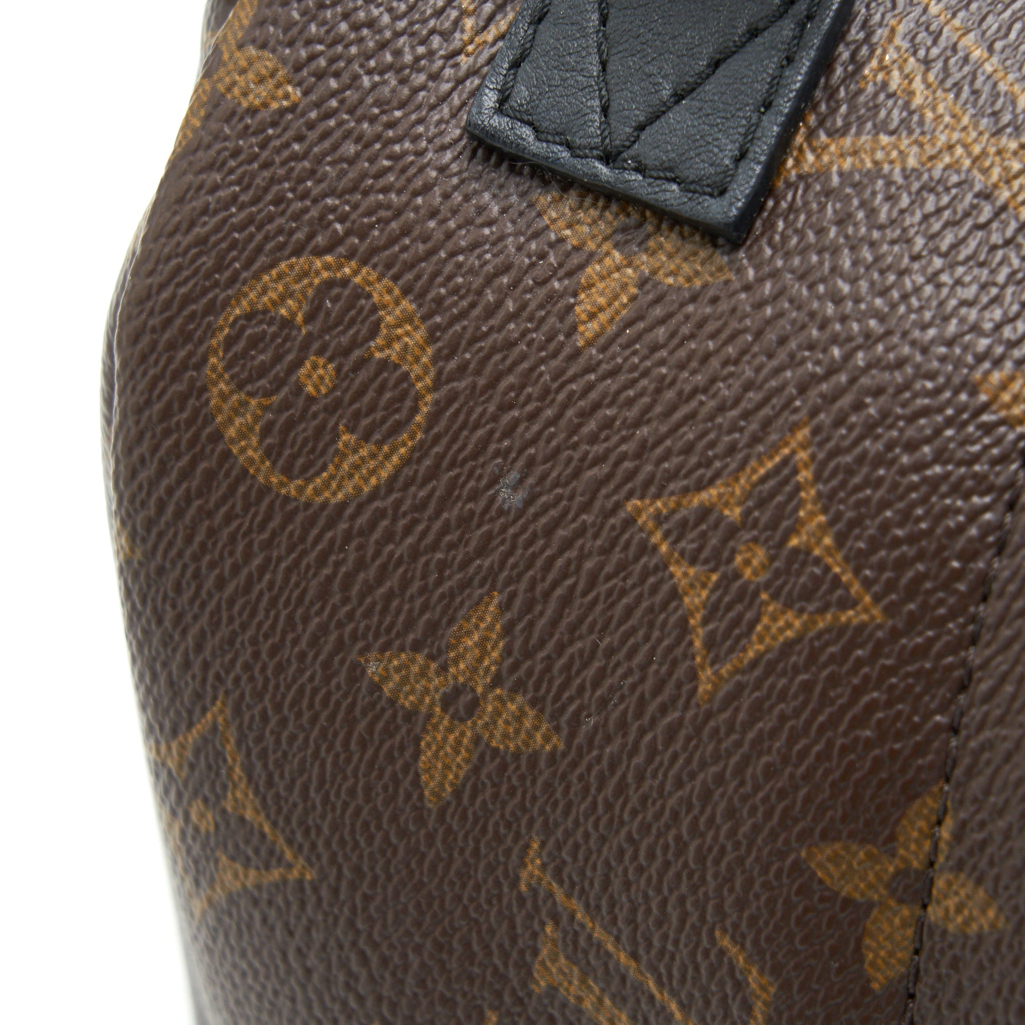 LOUIS VUITTON PALM SPRINGS MINI MONOGRAM CANVAS