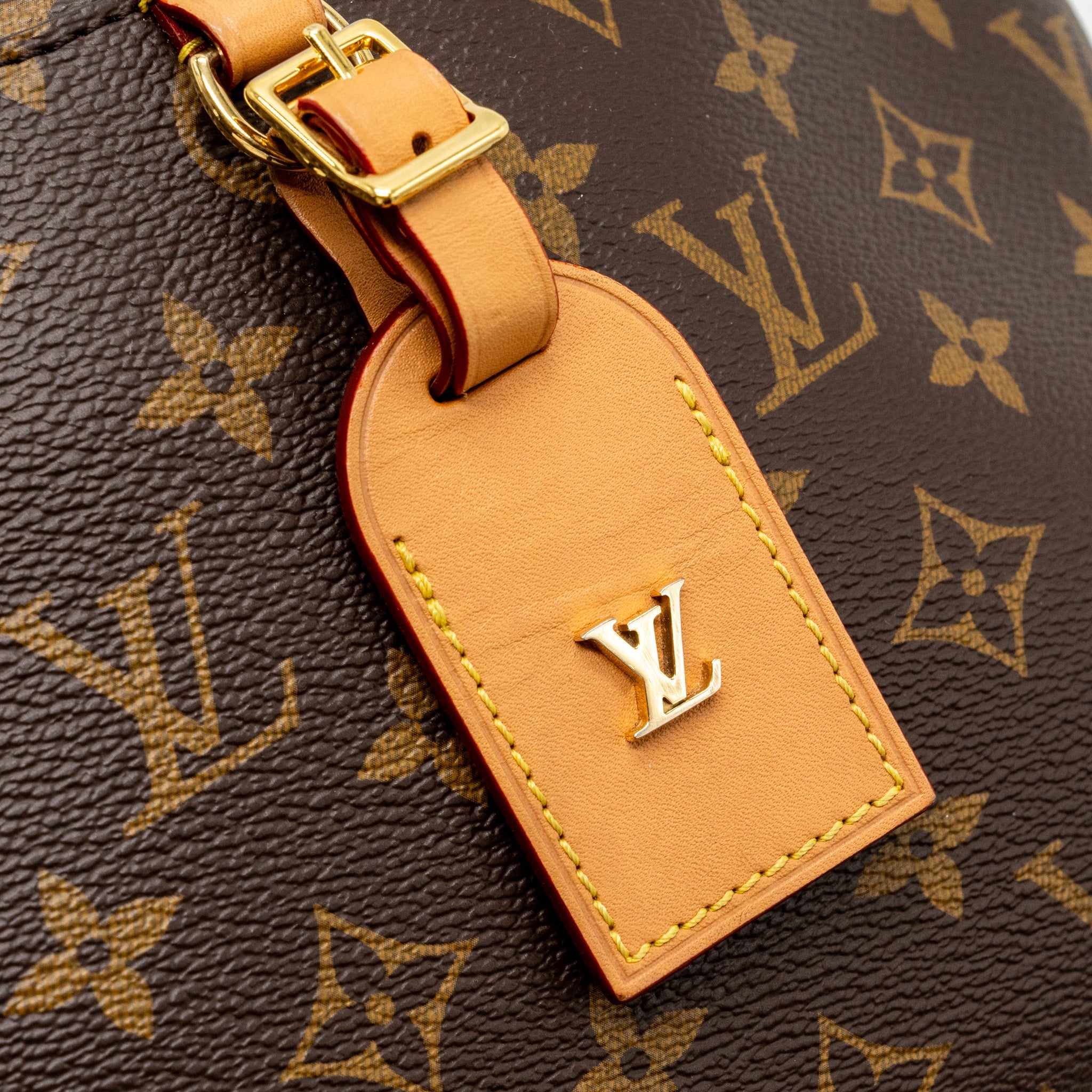 LOUIS VUITTON ODEON PM BAG MONOGRAM CANVAS GHW
