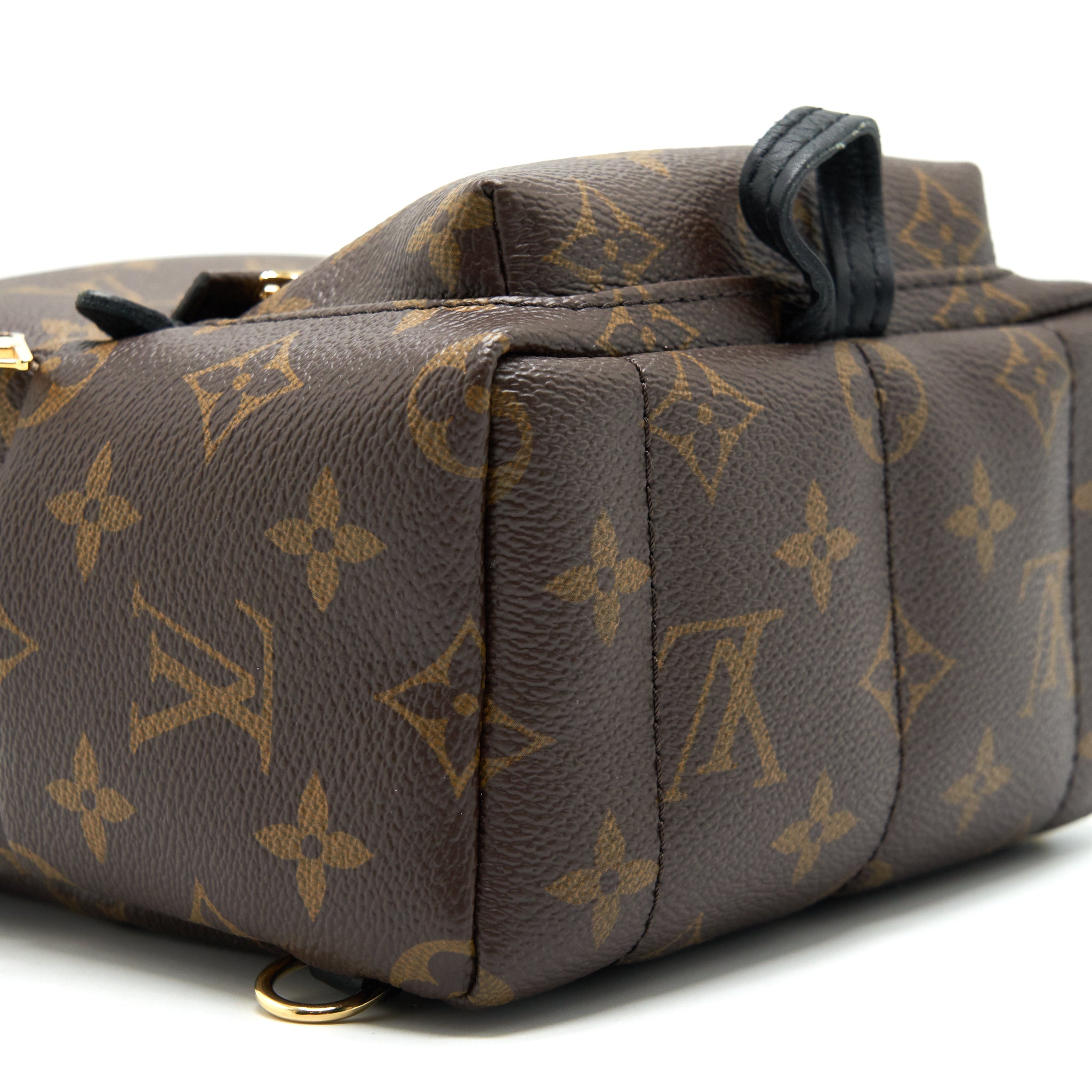 LOUIS VUITTIN PALM SPRING BACKPACK MINI MONOGRAM CANVAS