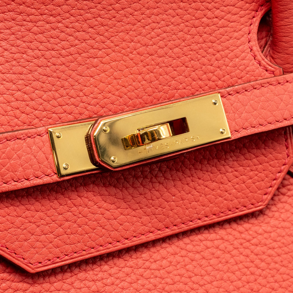 HERMES BIRKIN 40 CLEMENCE BOUGAINVILLIER GHW