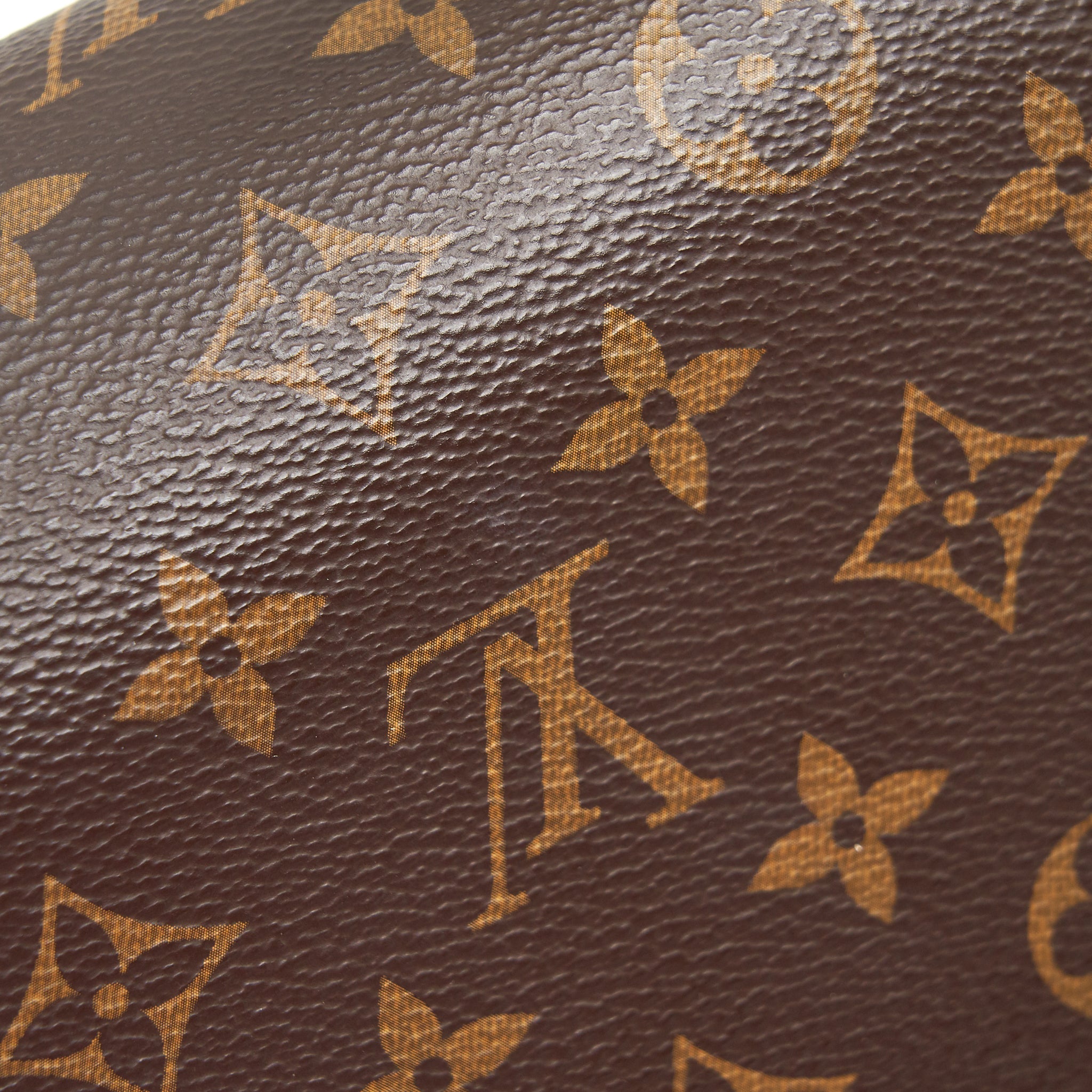 LOUIS VUITTON DAULPHINE BAG MONOGRAM CANVAS