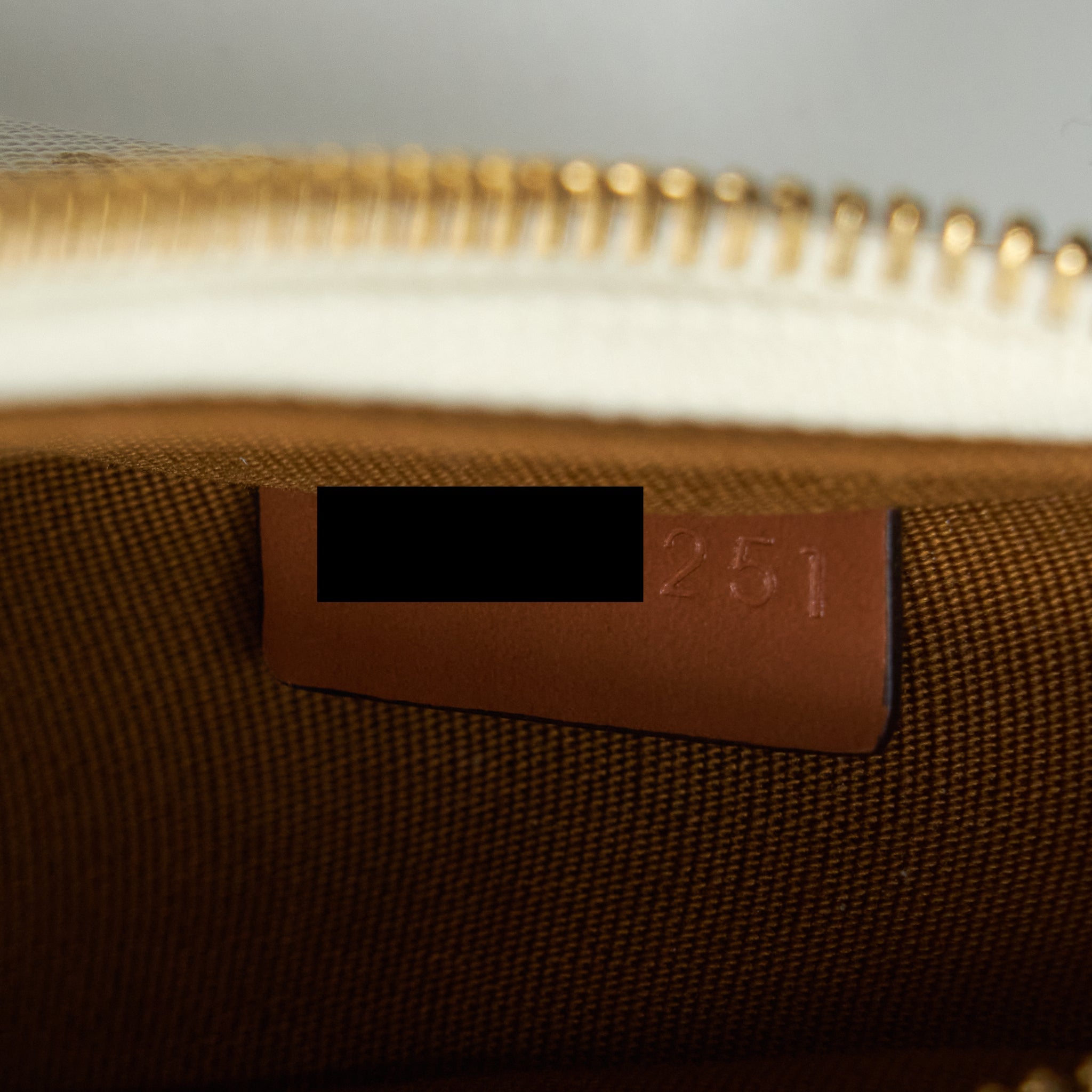 CELINE AVA BAG TRIOMPHE CANVAS AND LEATHER WHITE GHW