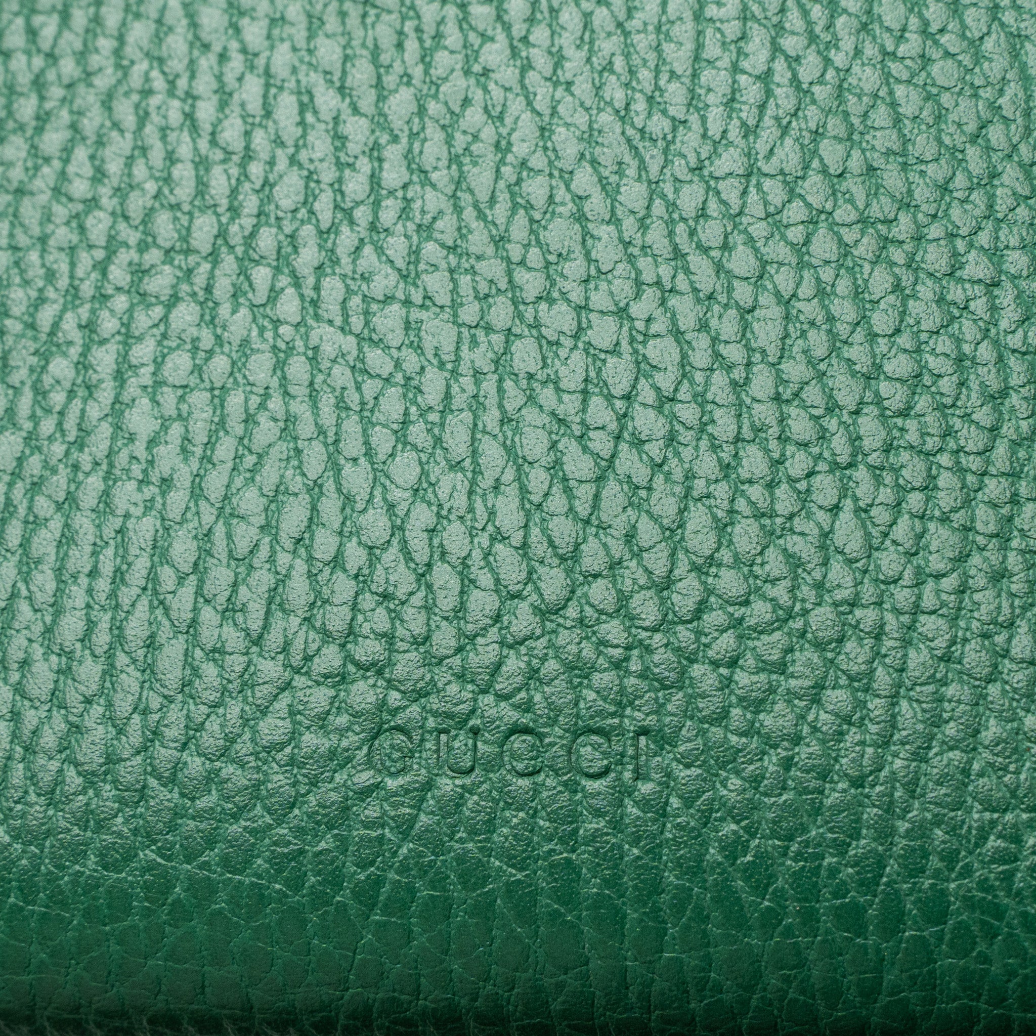 GUCCI DIONYSUS WALLET ON CHAIN CALFSKIN GREEN MULTICOLOUR HARDWARE