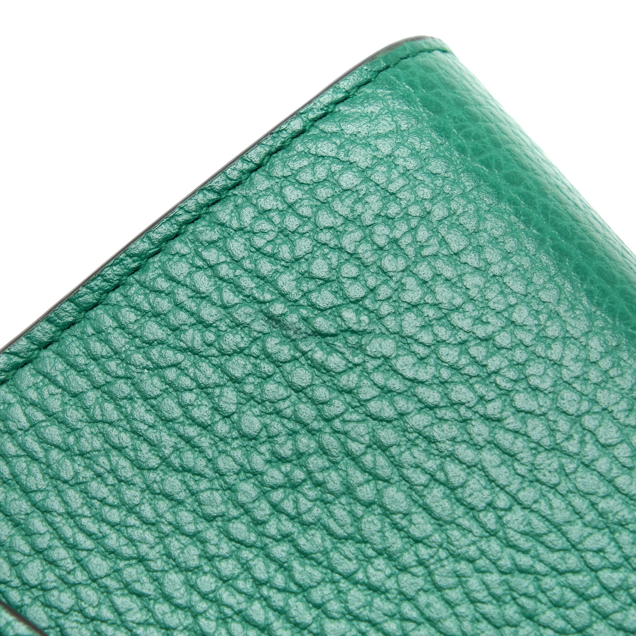 GUCCI DIONYSUS MINI CHAIN BAG CALFSKIN GREEN MULTICOLOUR HARDWARE