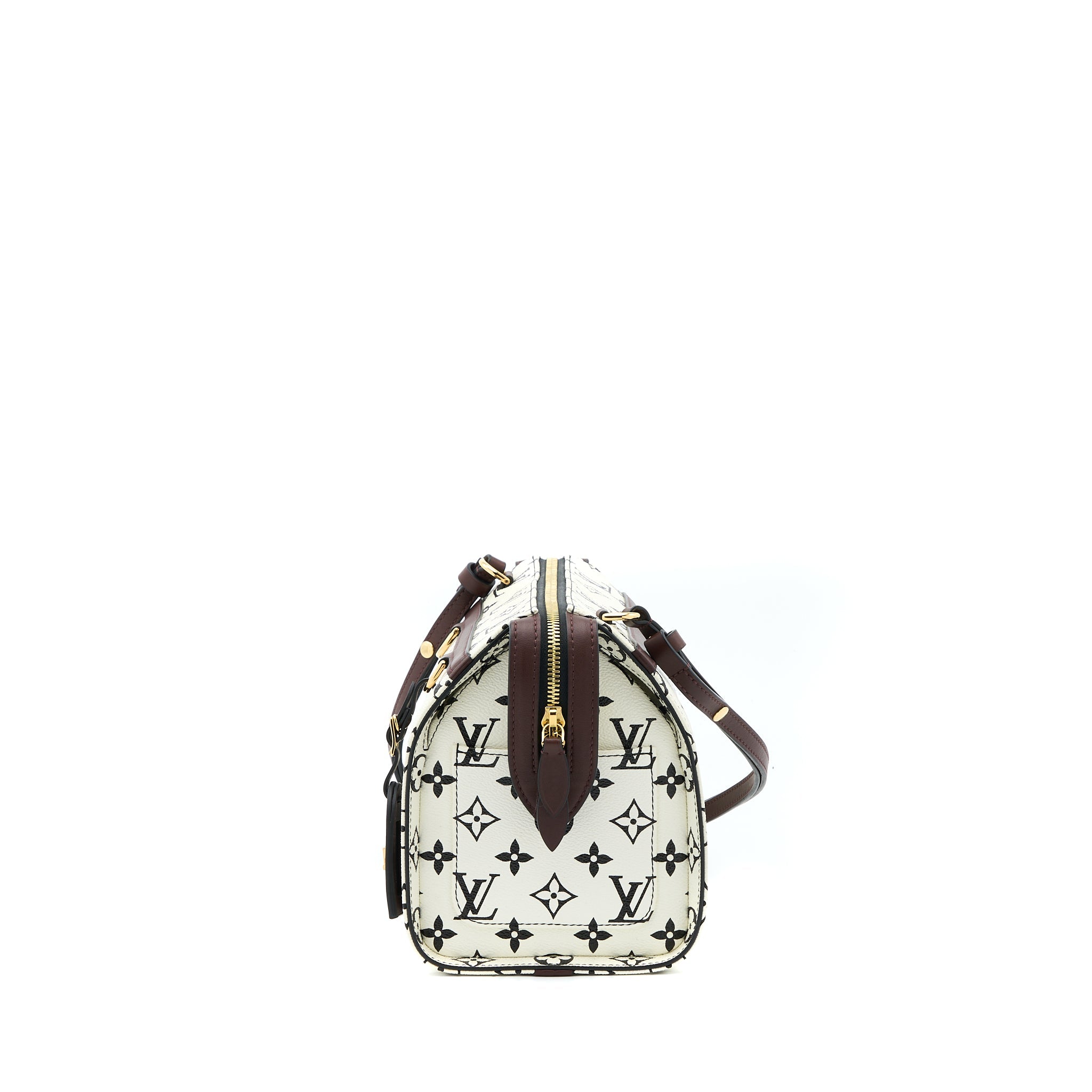LOUIS VUITTON SPEEDY AMAZON PM BAG MONOGRAM CANVAS MULTICOLOURED GHW