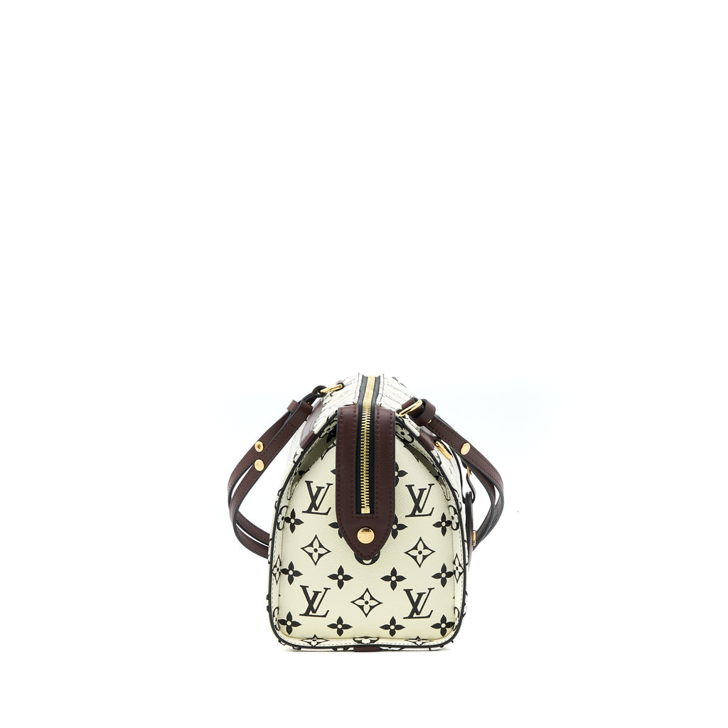 LOUIS VUITTON SPEEDY AMAZON PM BAG MONOGRAM CANVAS MULTICOLOURED GHW
