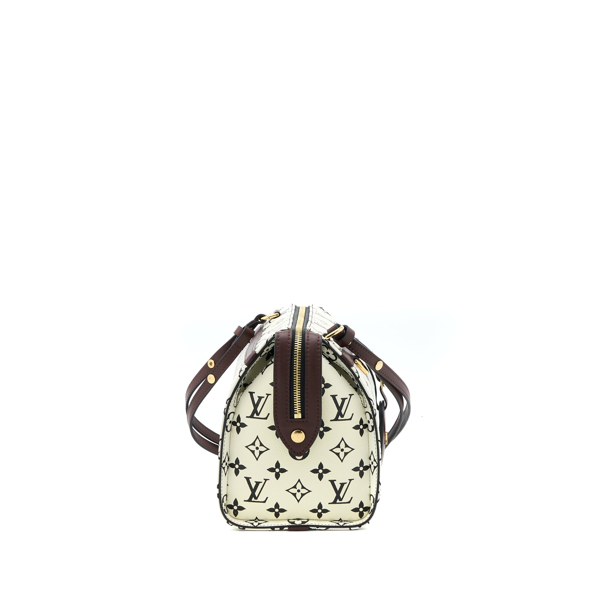 LOUIS VUITTON SPEEDY AMAZON PM BAG MONOGRAM CANVAS MULTICOLOURED GHW