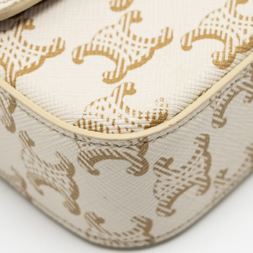 CELINE TRIOMPHE SHOUDER BAG TRIOMPHE CANVAS / CALFSKIN WHITE GHW