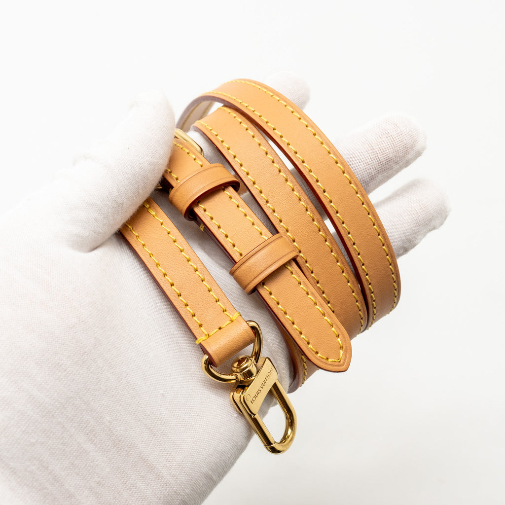 LOUIS VUITTON NANO SPEEDY MONOGRAM CANVAS GHW