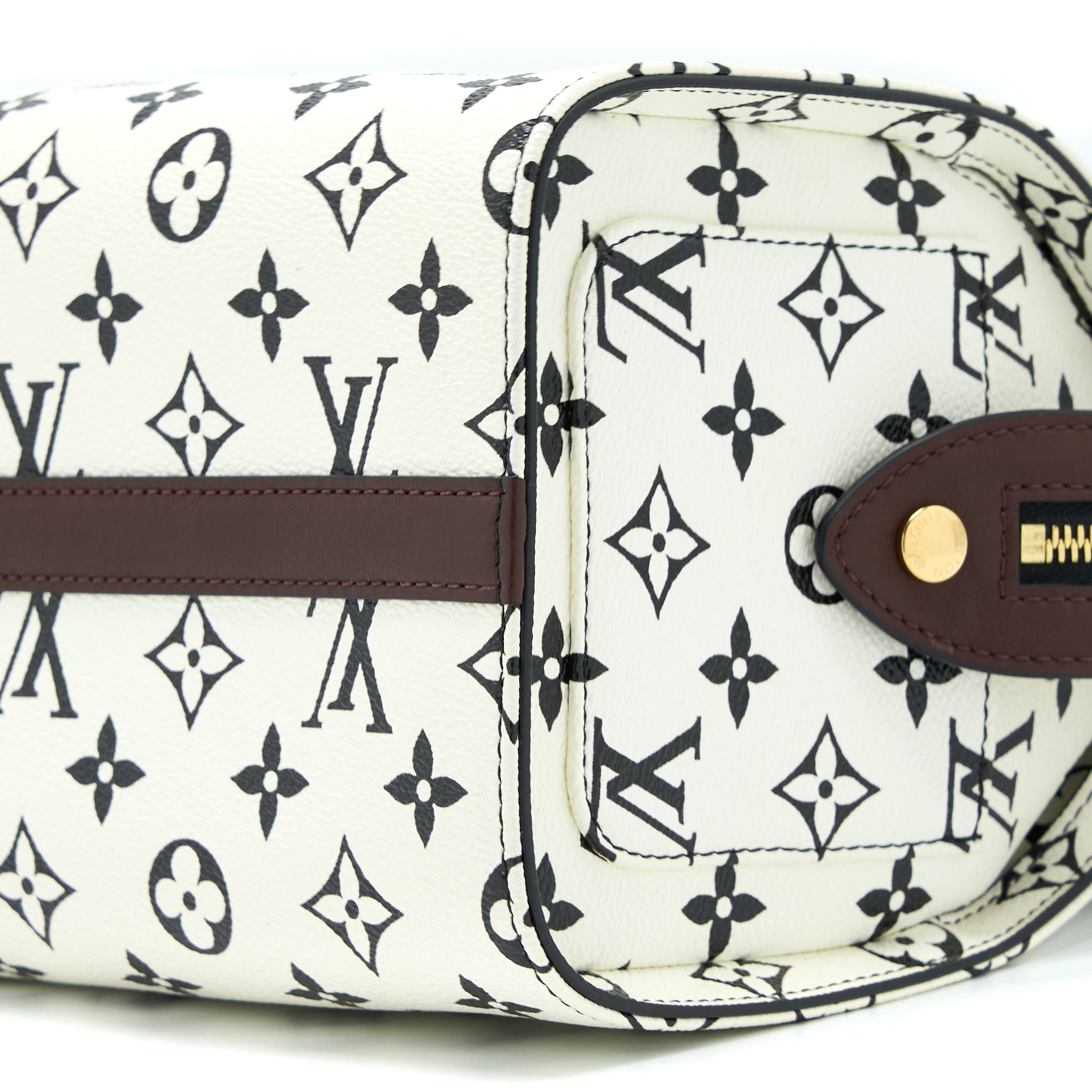LOUIS VUITTON SPEEDY AMAZON PM BAG MONOGRAM CANVAS MULTICOLOURED GHW