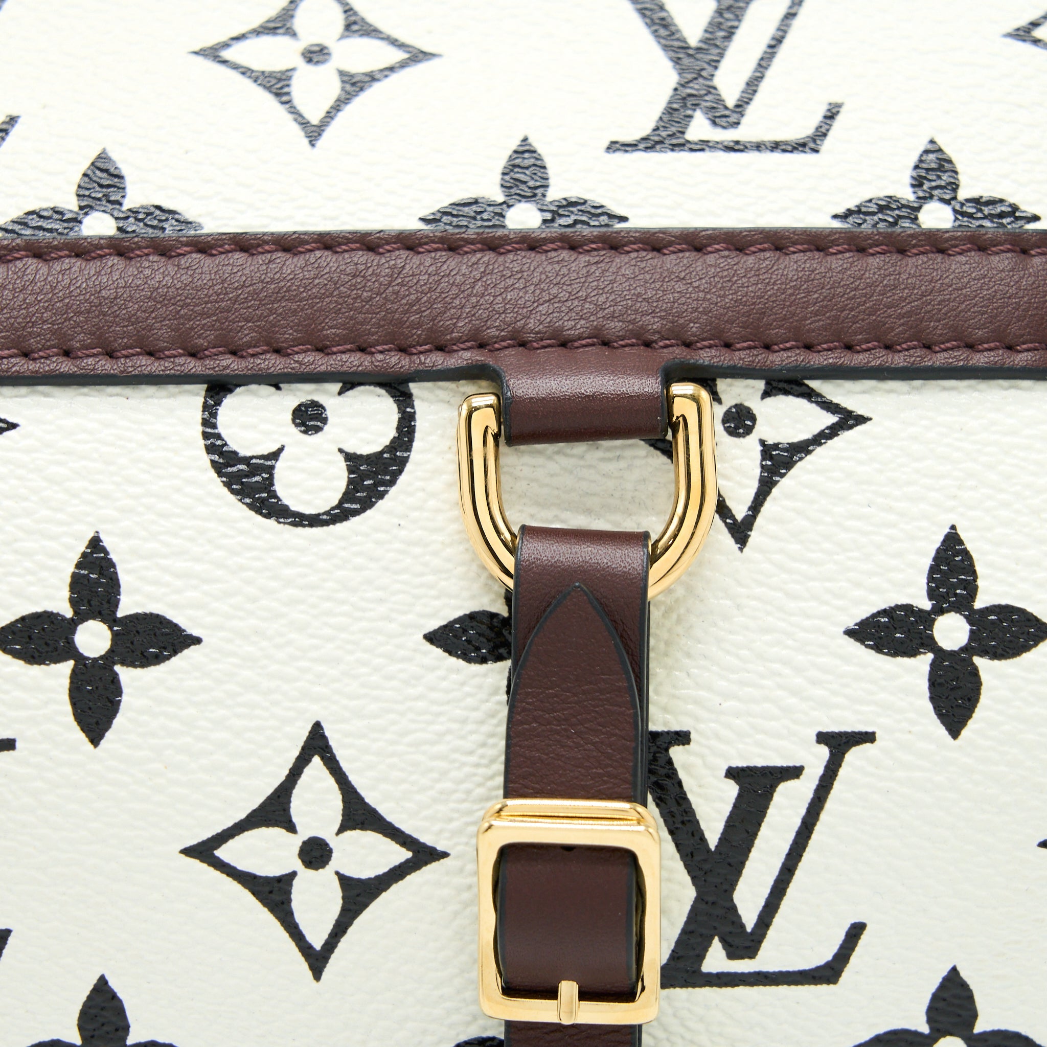 LOUIS VUITTON SPEEDY AMAZON PM BAG MONOGRAM CANVAS MULTICOLOURED GHW