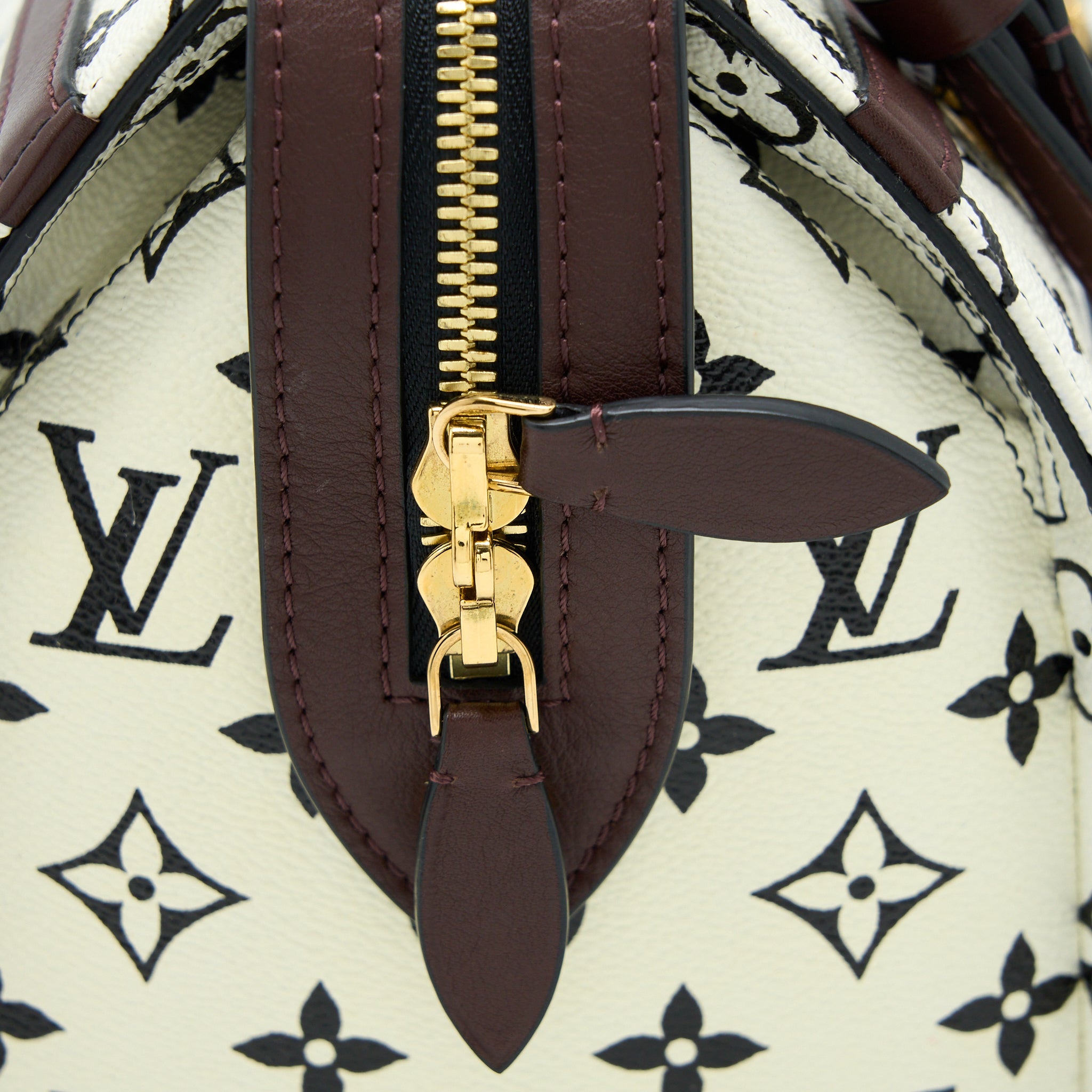 LOUIS VUITTON SPEEDY AMAZON PM BAG MONOGRAM CANVAS MULTICOLOURED GHW
