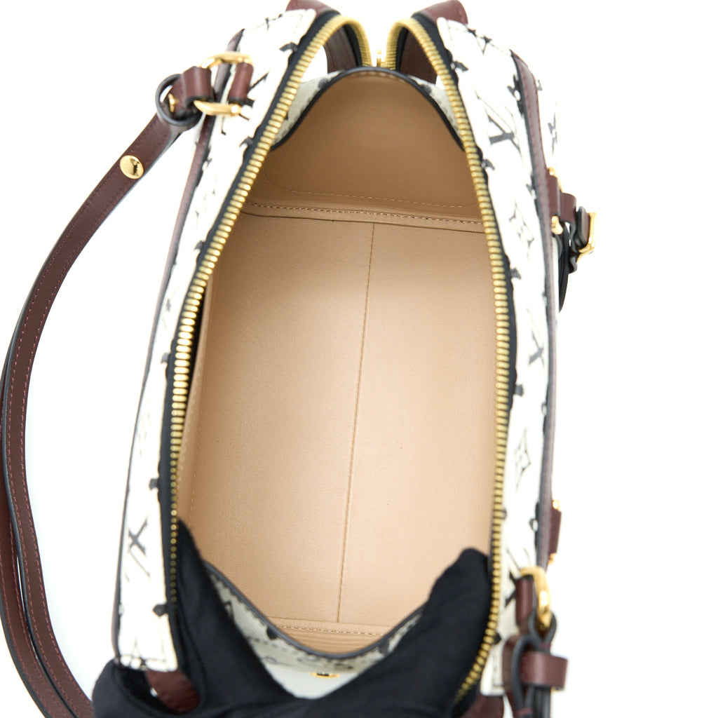 LOUIS VUITTON SPEEDY AMAZON PM BAG MONOGRAM CANVAS MULTICOLOURED GHW