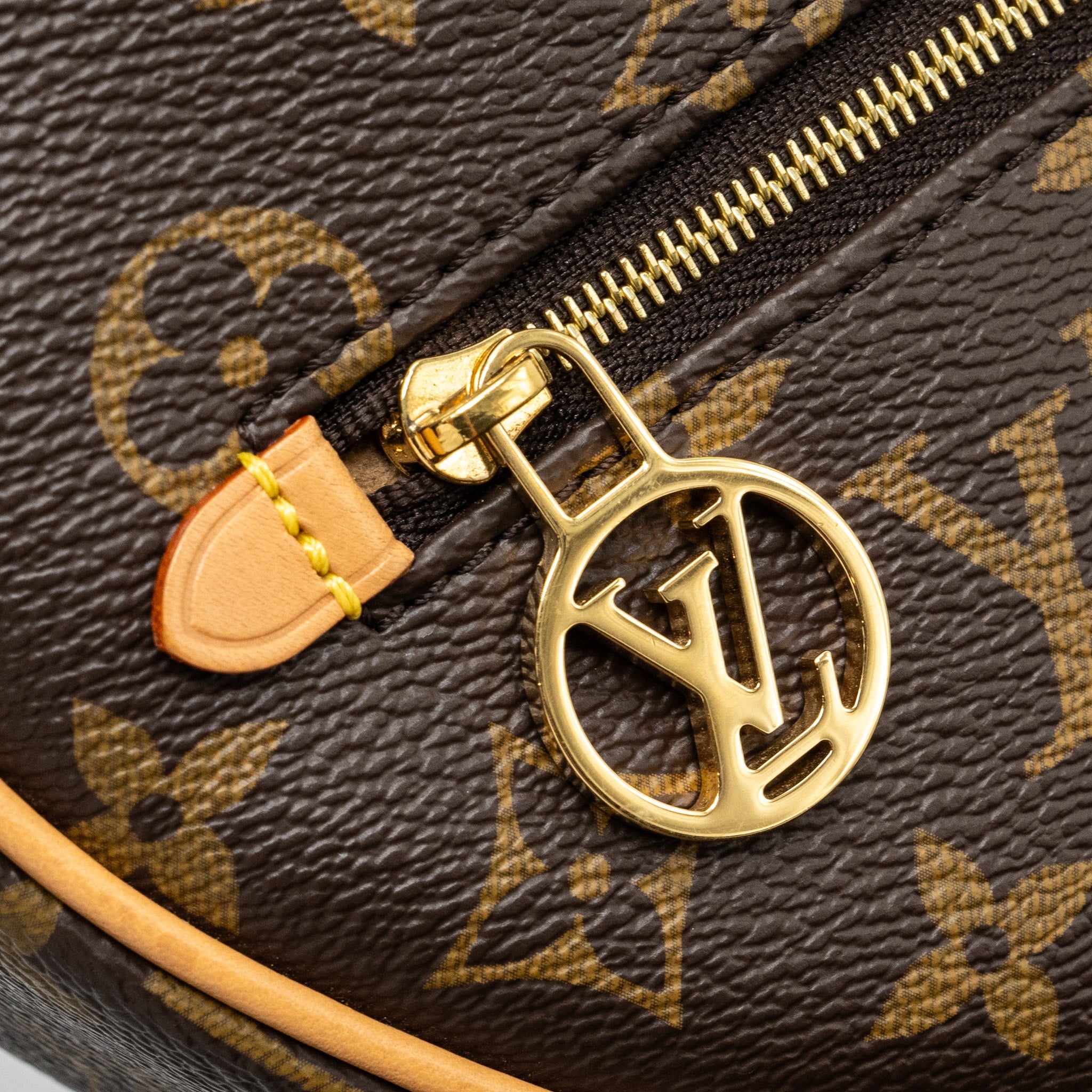 LOUIS VUITTON LOOP BAG MONOGRAM CANVAS GHW