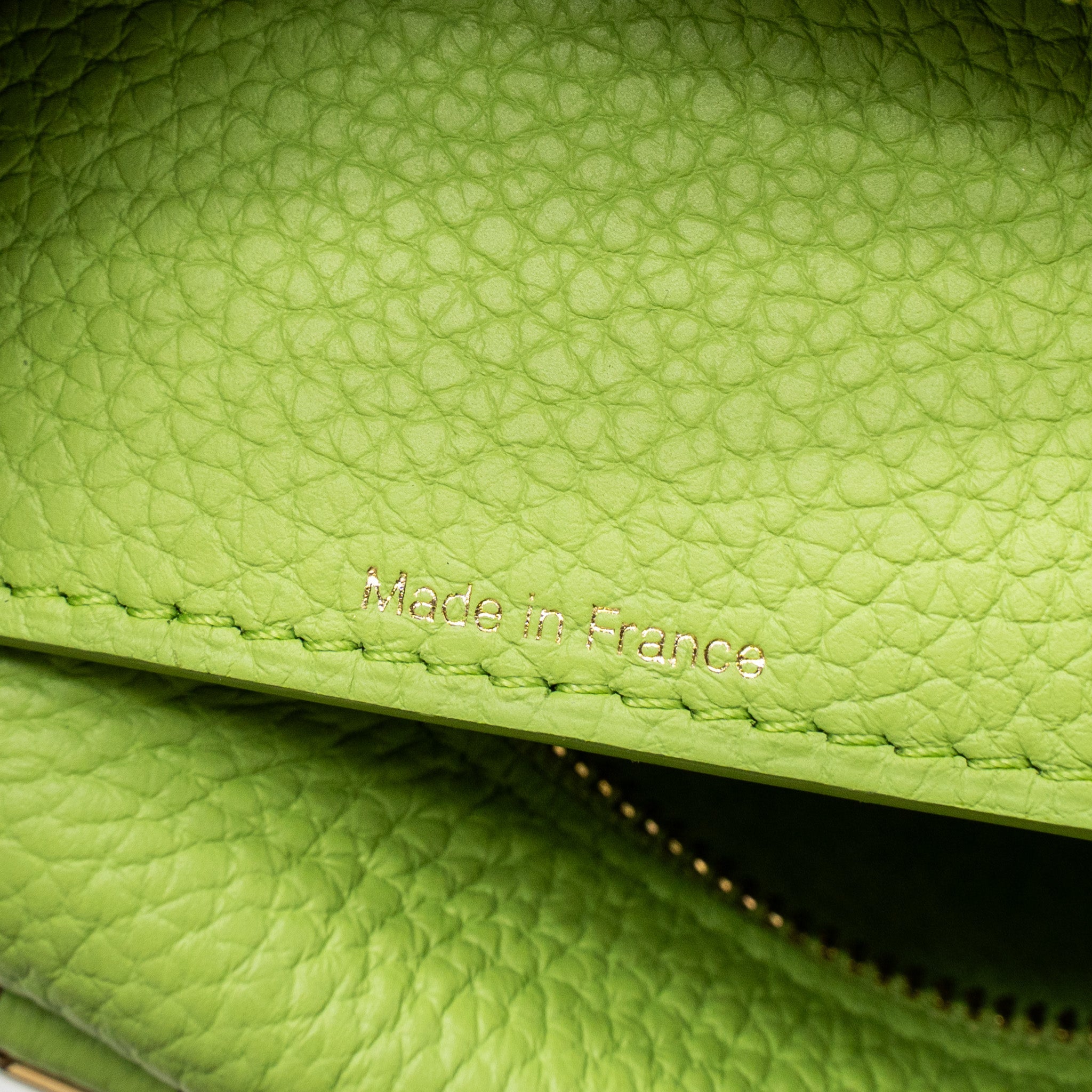 DELVAUX COOL BOX NANO TAURILLON SOFT CALFSKIN ALOE GHW