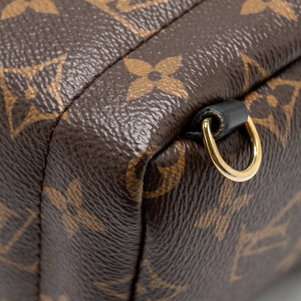 LOUIS VUITTON MINI PALM SPRING BACKPACK MONOGRAM CANVAS GHW