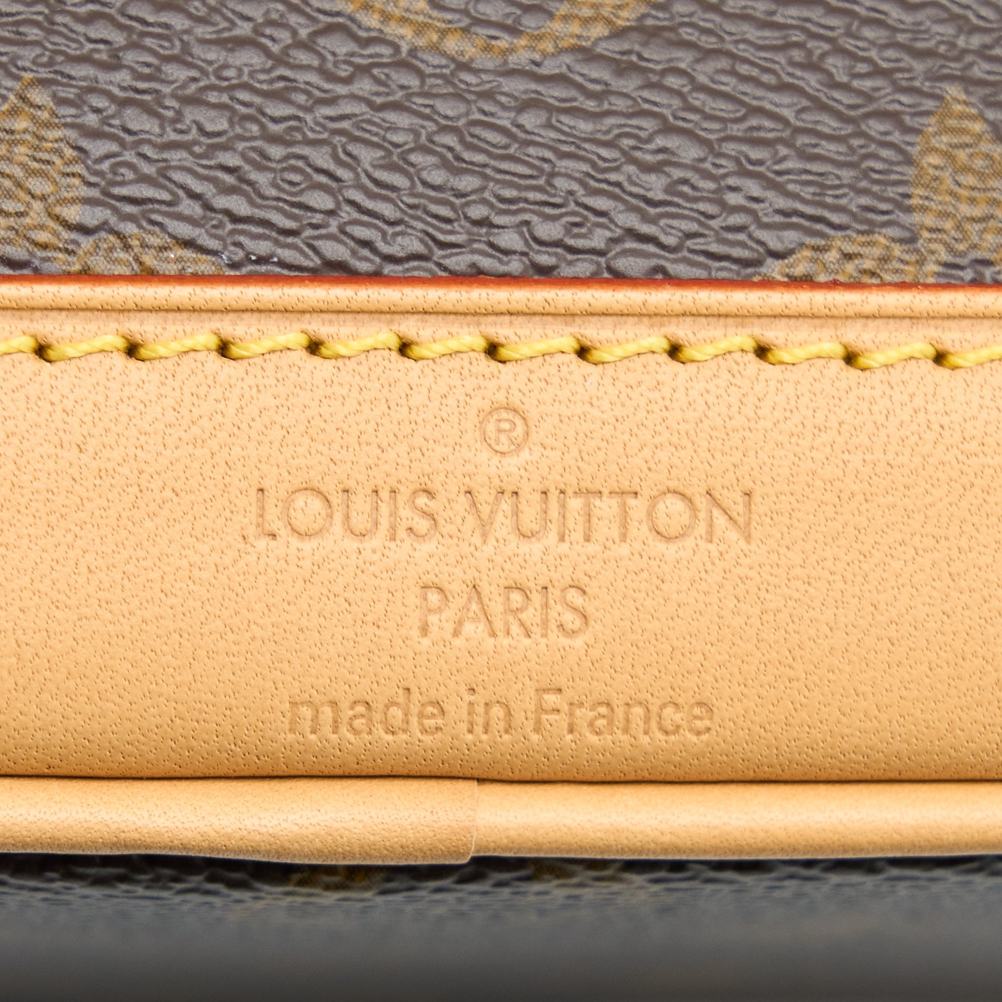 LOUIS VUITTON NANO NOE MONOGRAM CANVAS GHW